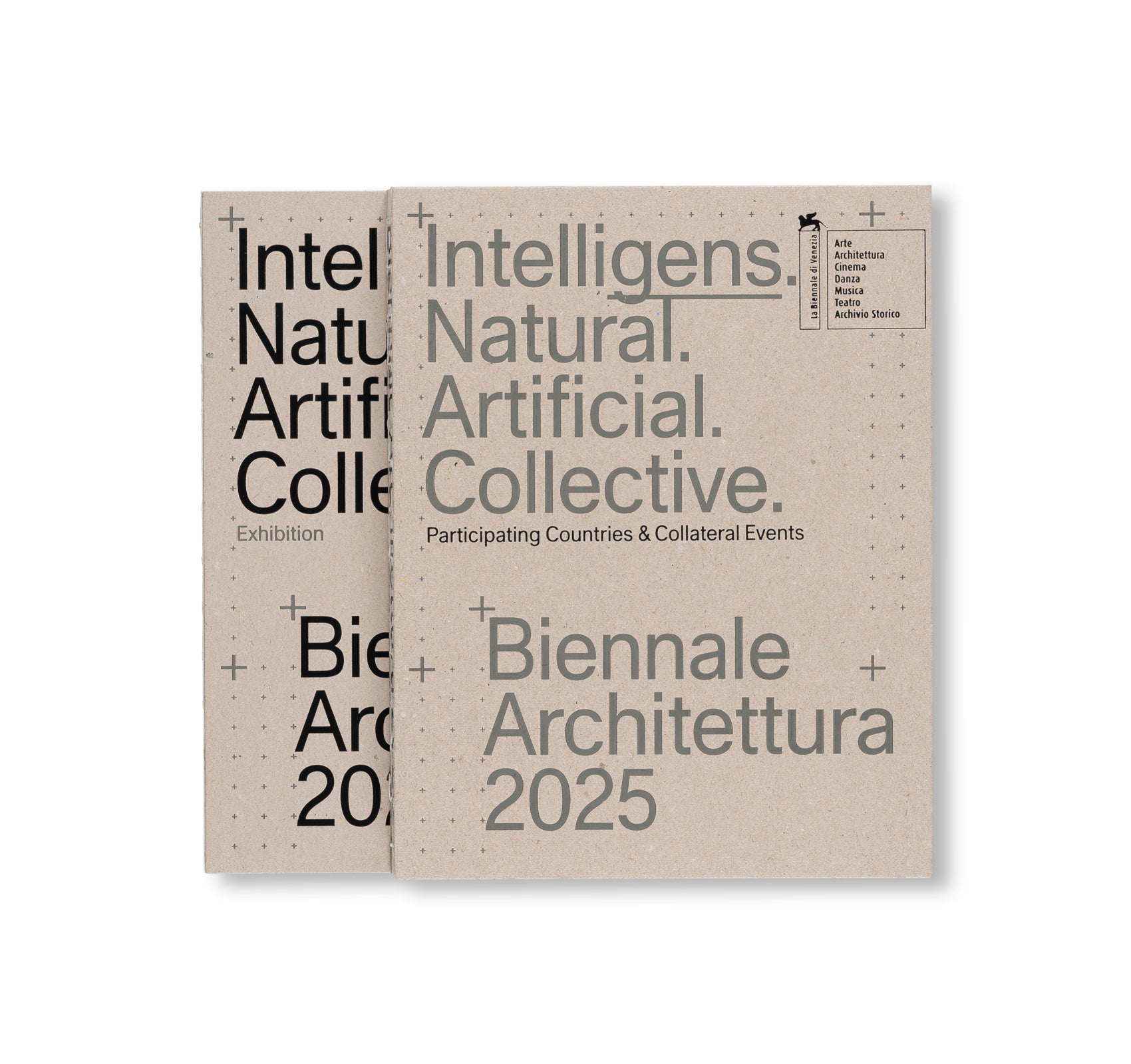 BIENNALE ARCHITETTURA 2025: INTELLIGENS. NATURAL. ARTIFICIAL. COLLECTIVE.