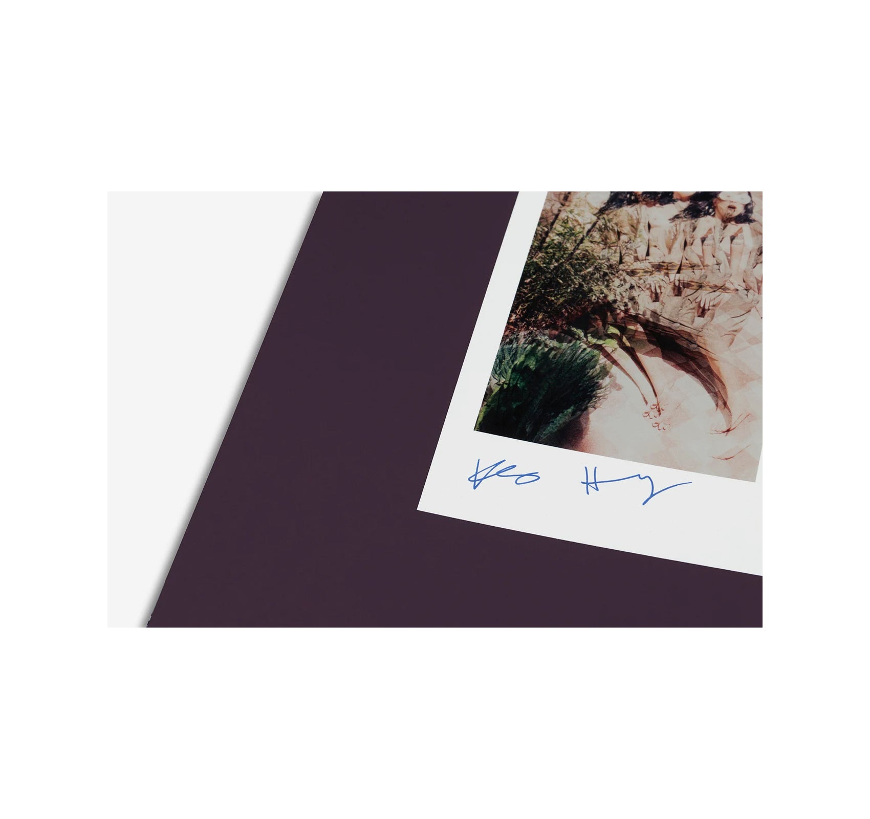 POSITIONS by K8 Hardy [SIGNED]