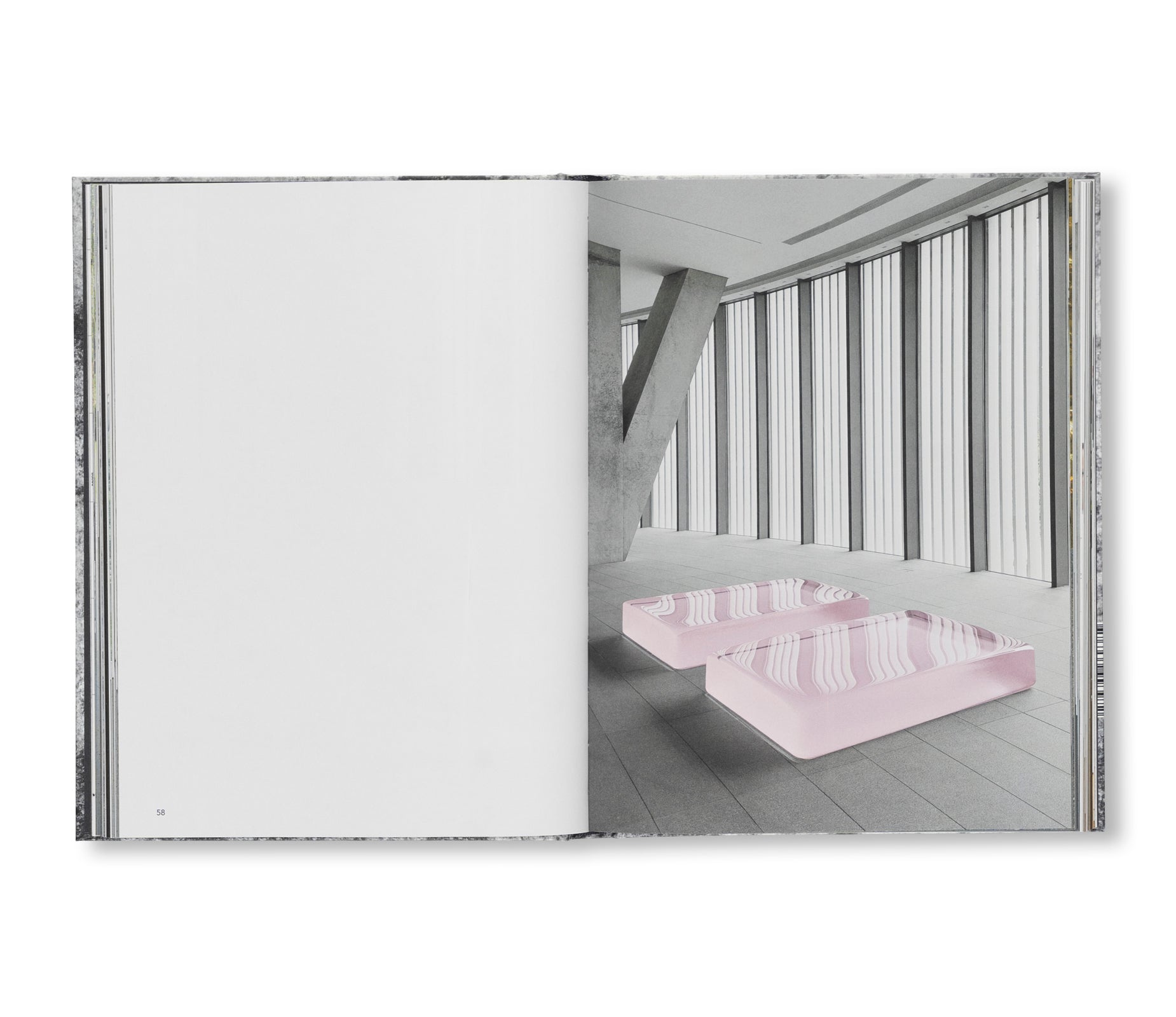 A DREAM NOT DREAMT by Roni Horn