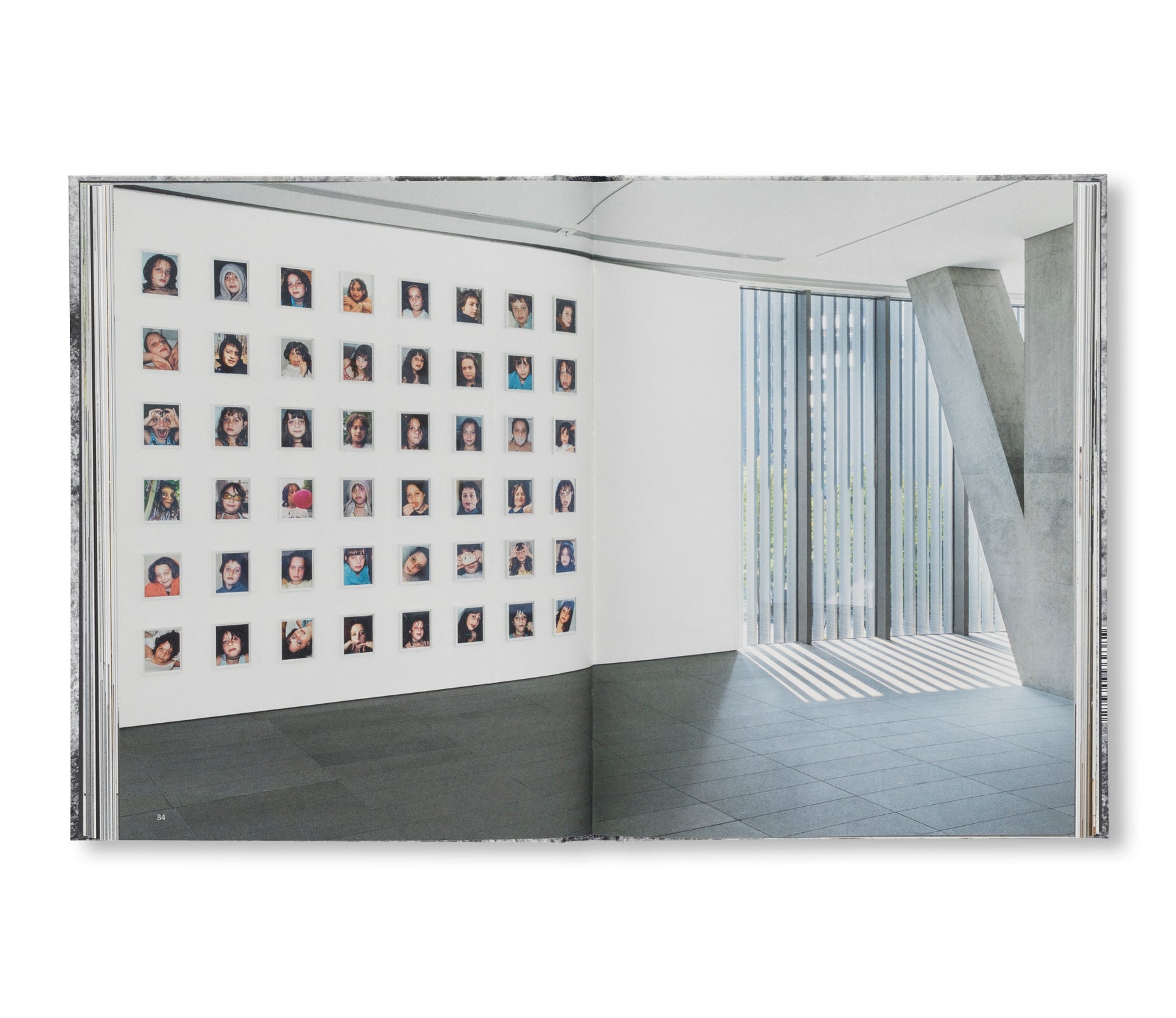 A DREAM NOT DREAMT by Roni Horn
