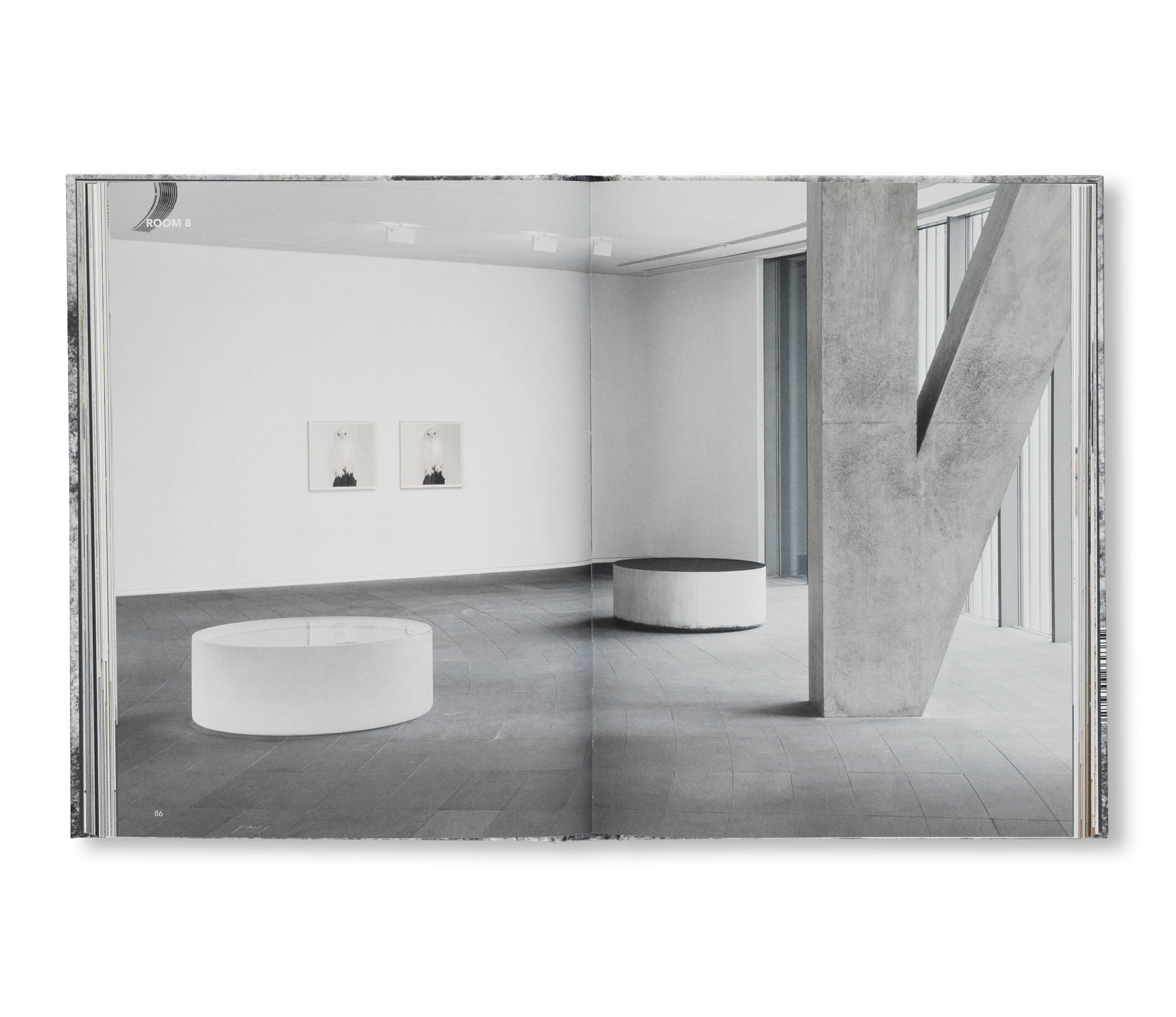 A DREAM NOT DREAMT by Roni Horn