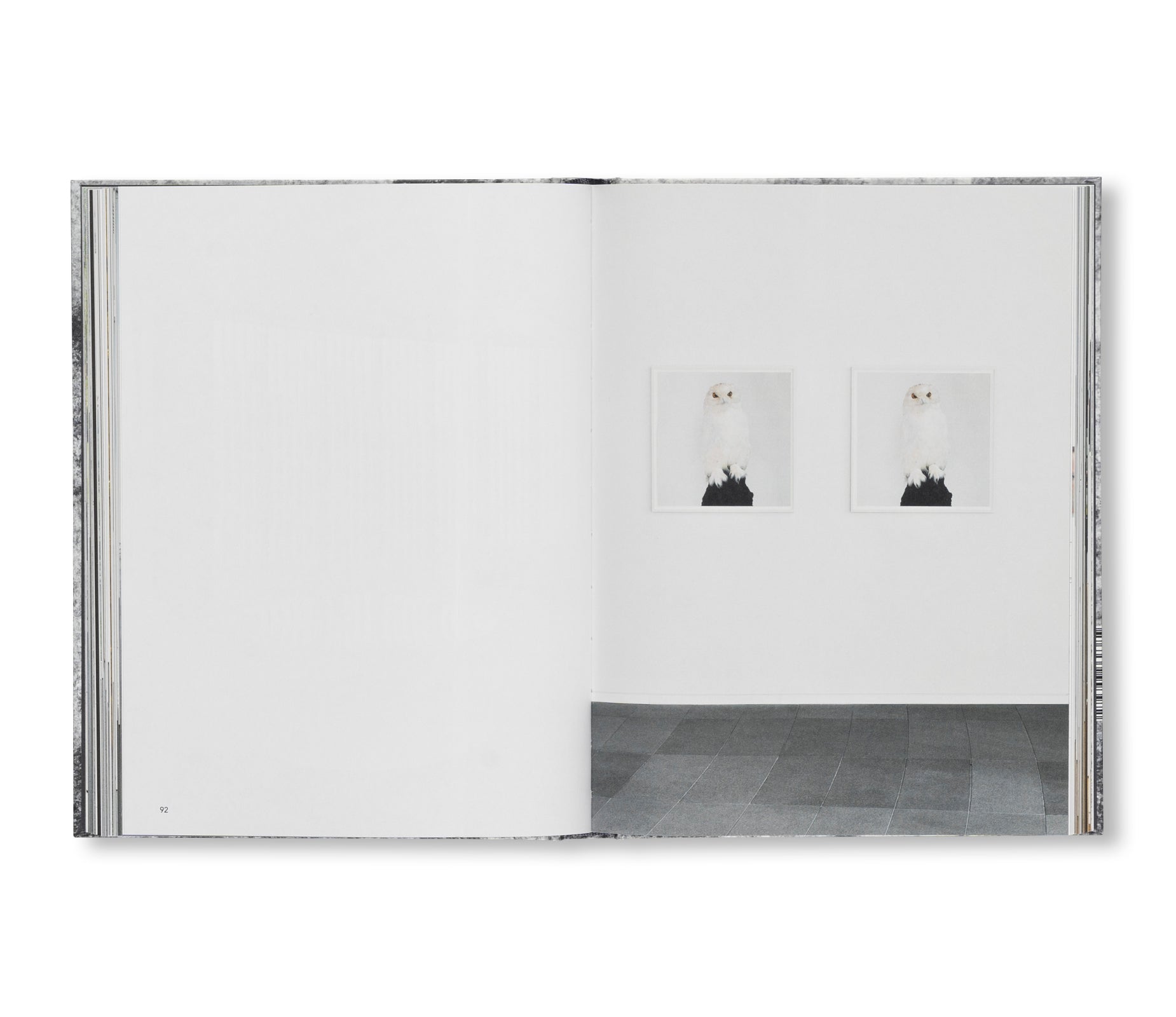A DREAM NOT DREAMT by Roni Horn