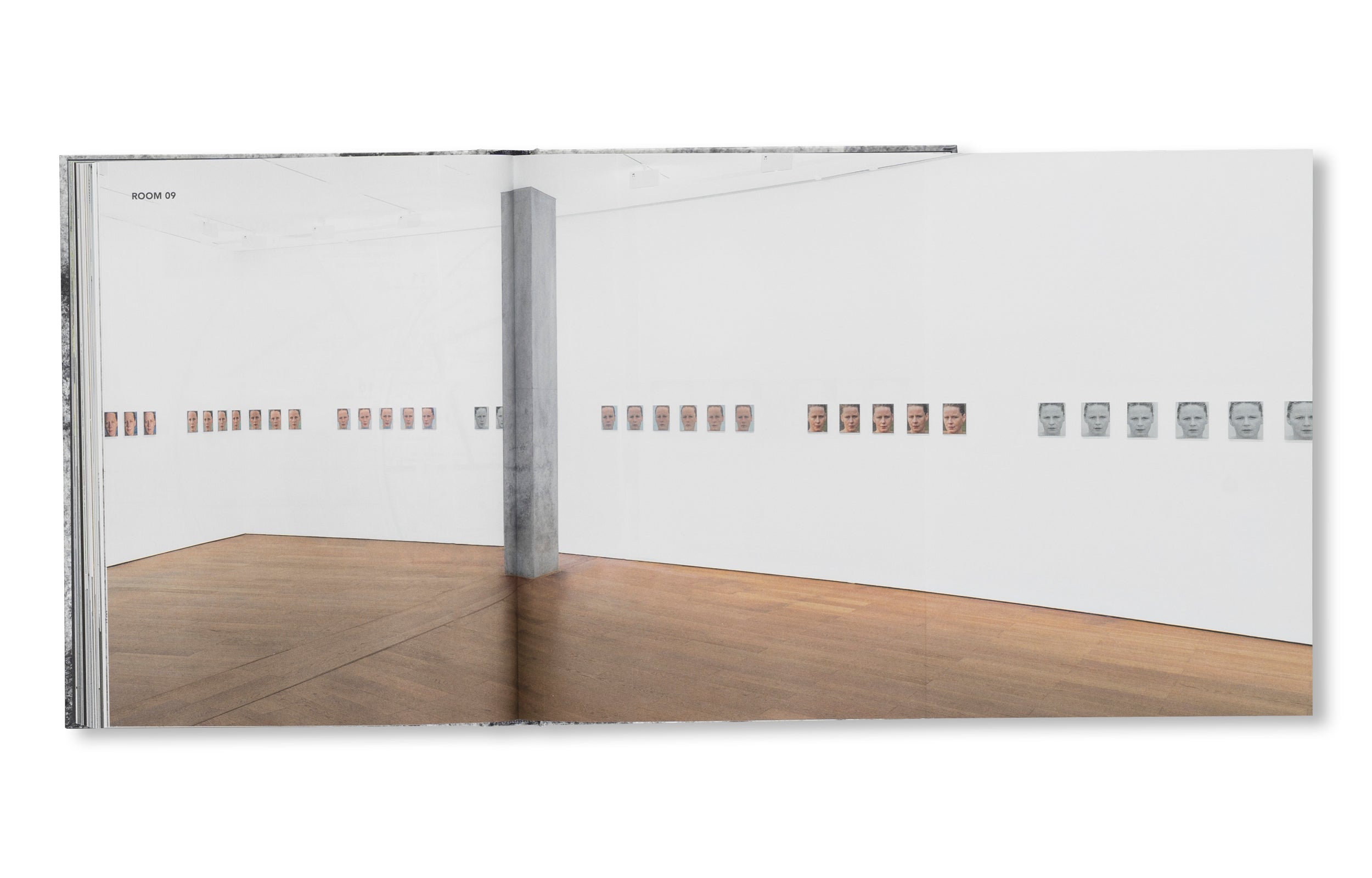 A DREAM NOT DREAMT by Roni Horn