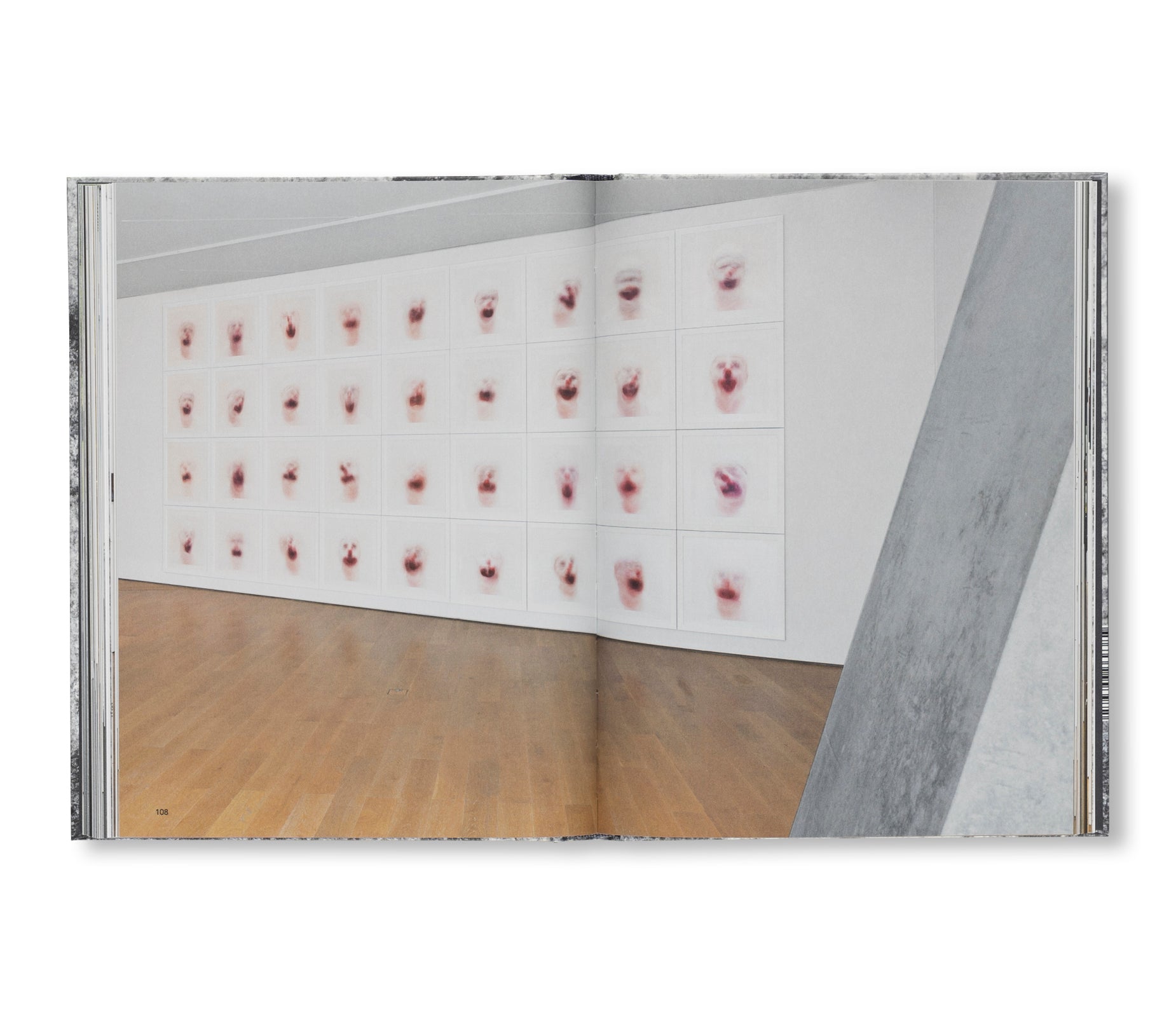 A DREAM NOT DREAMT by Roni Horn