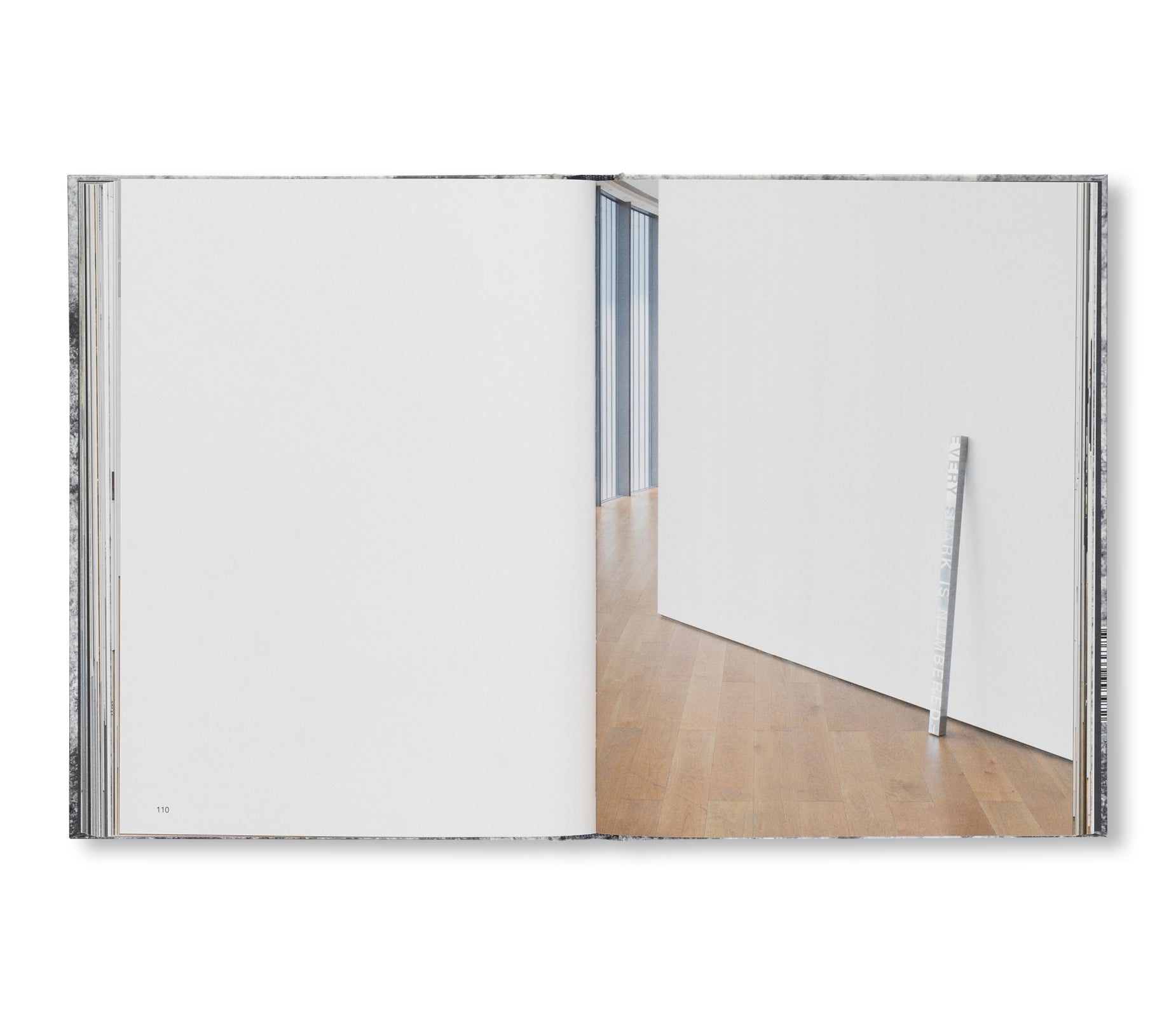 A DREAM NOT DREAMT by Roni Horn