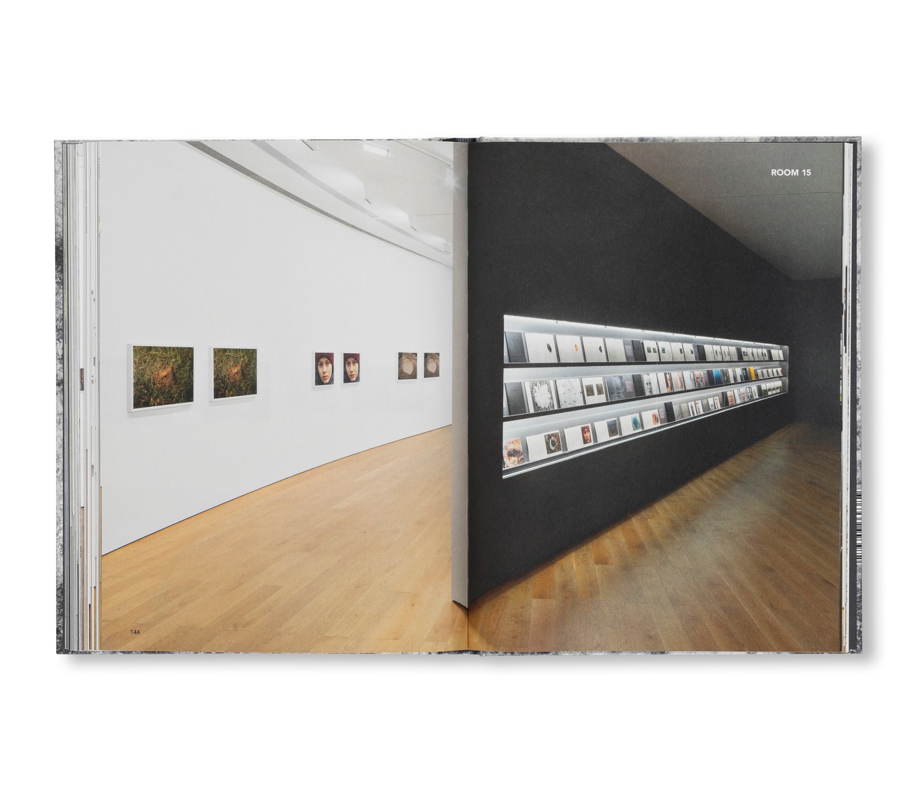 A DREAM NOT DREAMT by Roni Horn