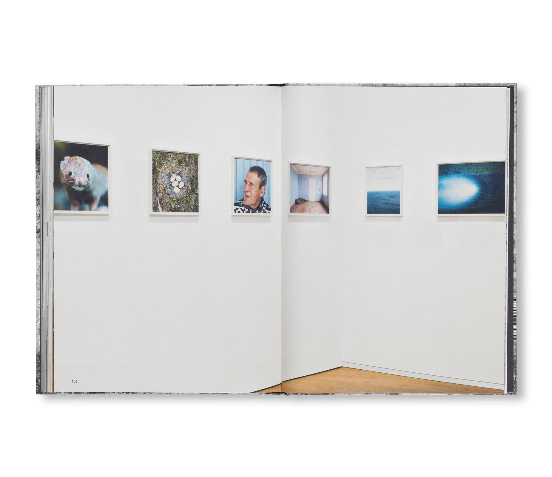 A DREAM NOT DREAMT by Roni Horn