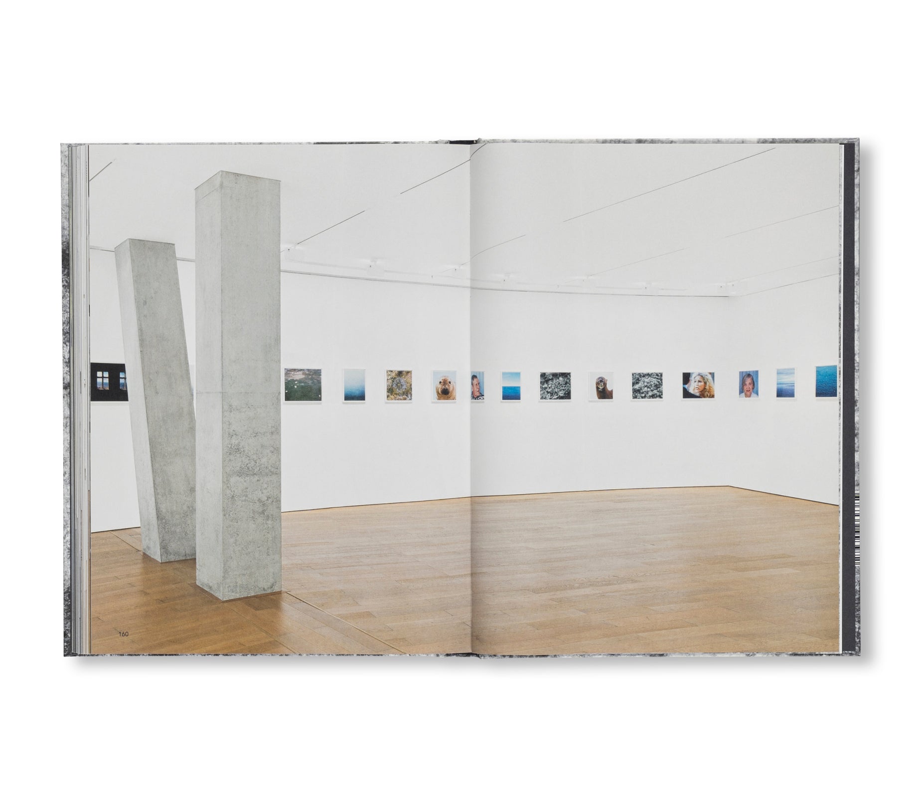 A DREAM NOT DREAMT by Roni Horn
