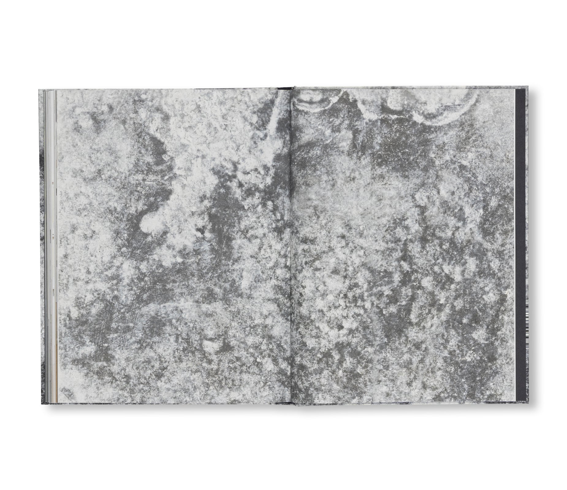 A DREAM NOT DREAMT by Roni Horn