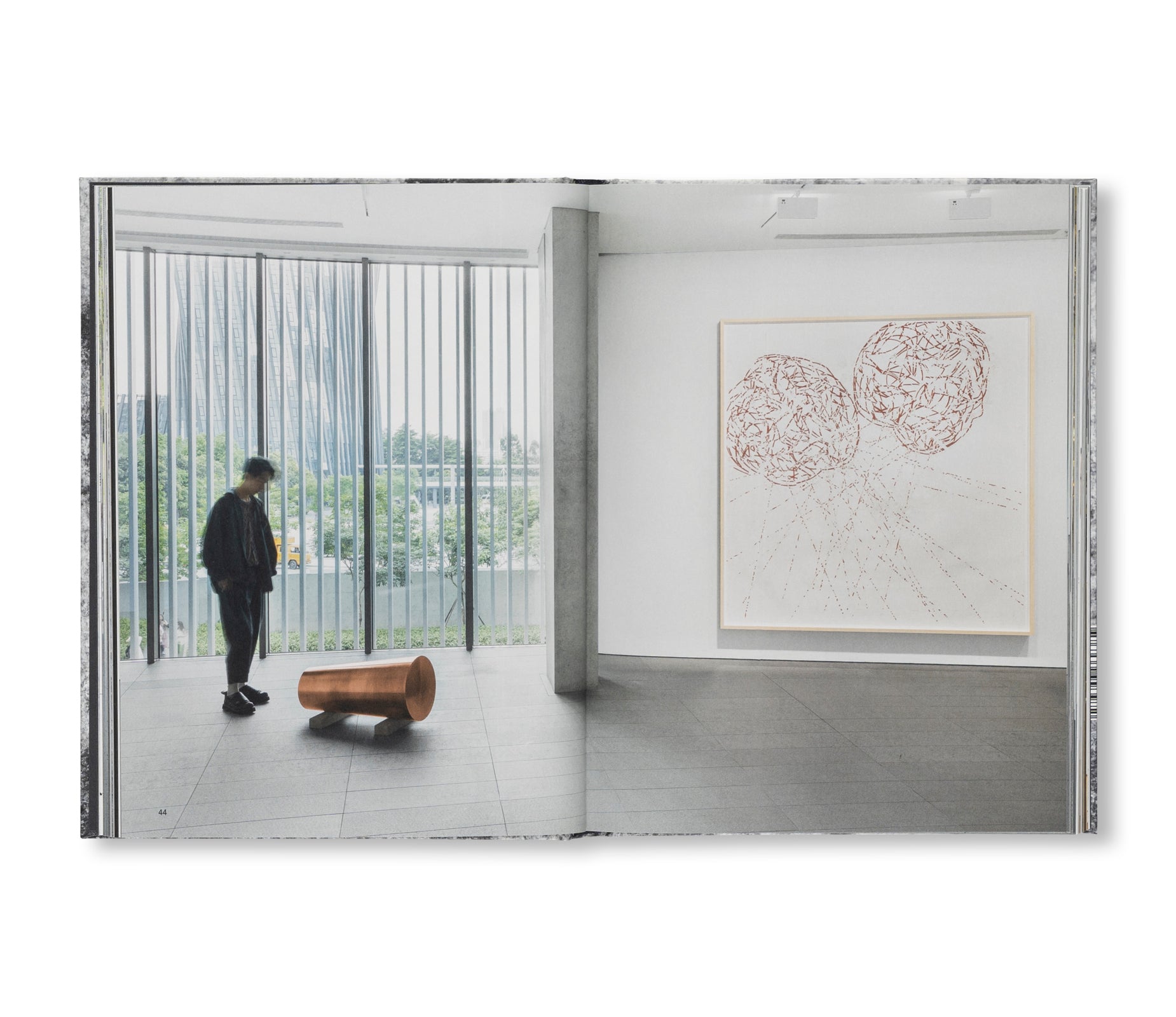 A DREAM NOT DREAMT by Roni Horn