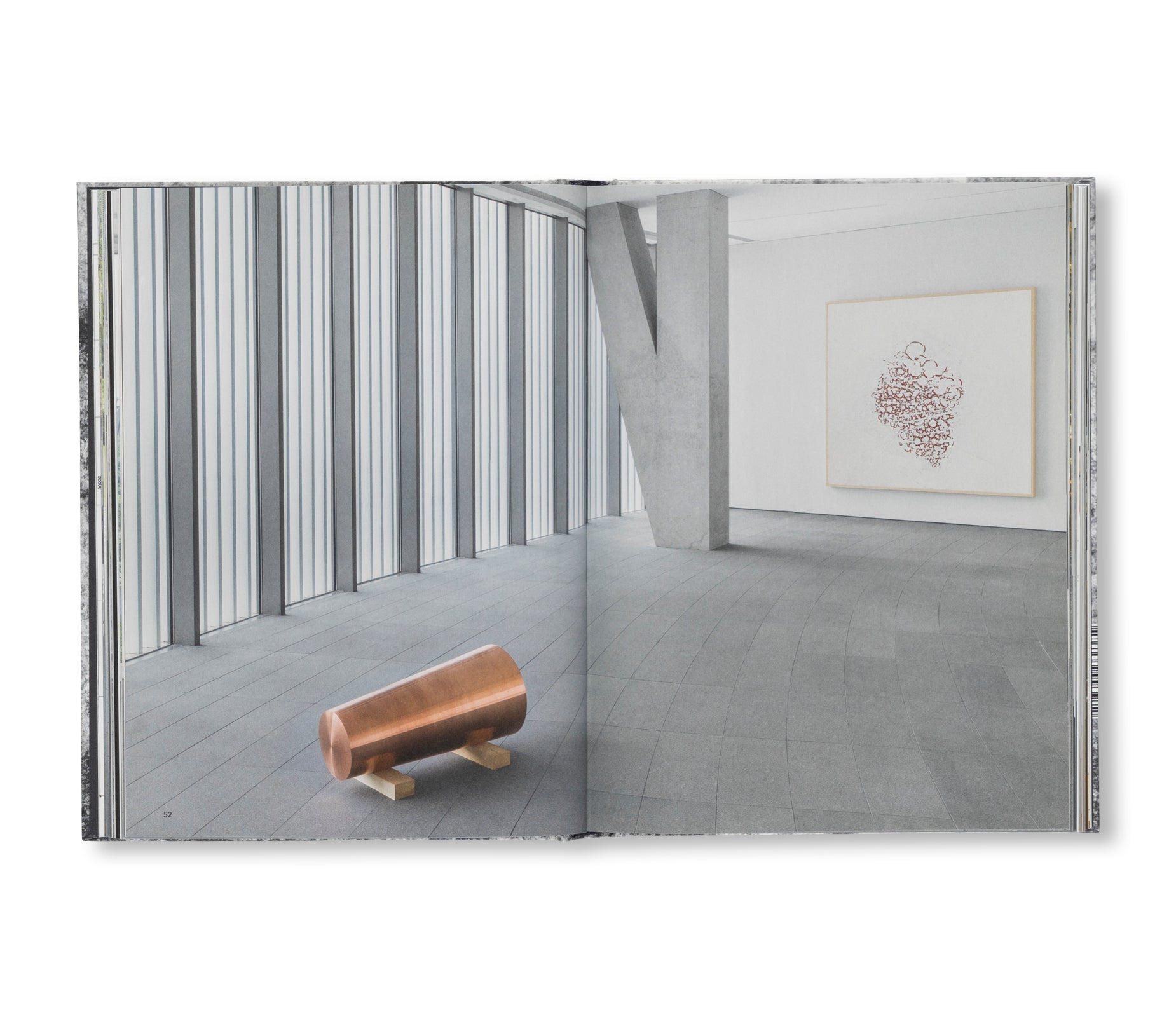 A DREAM NOT DREAMT by Roni Horn