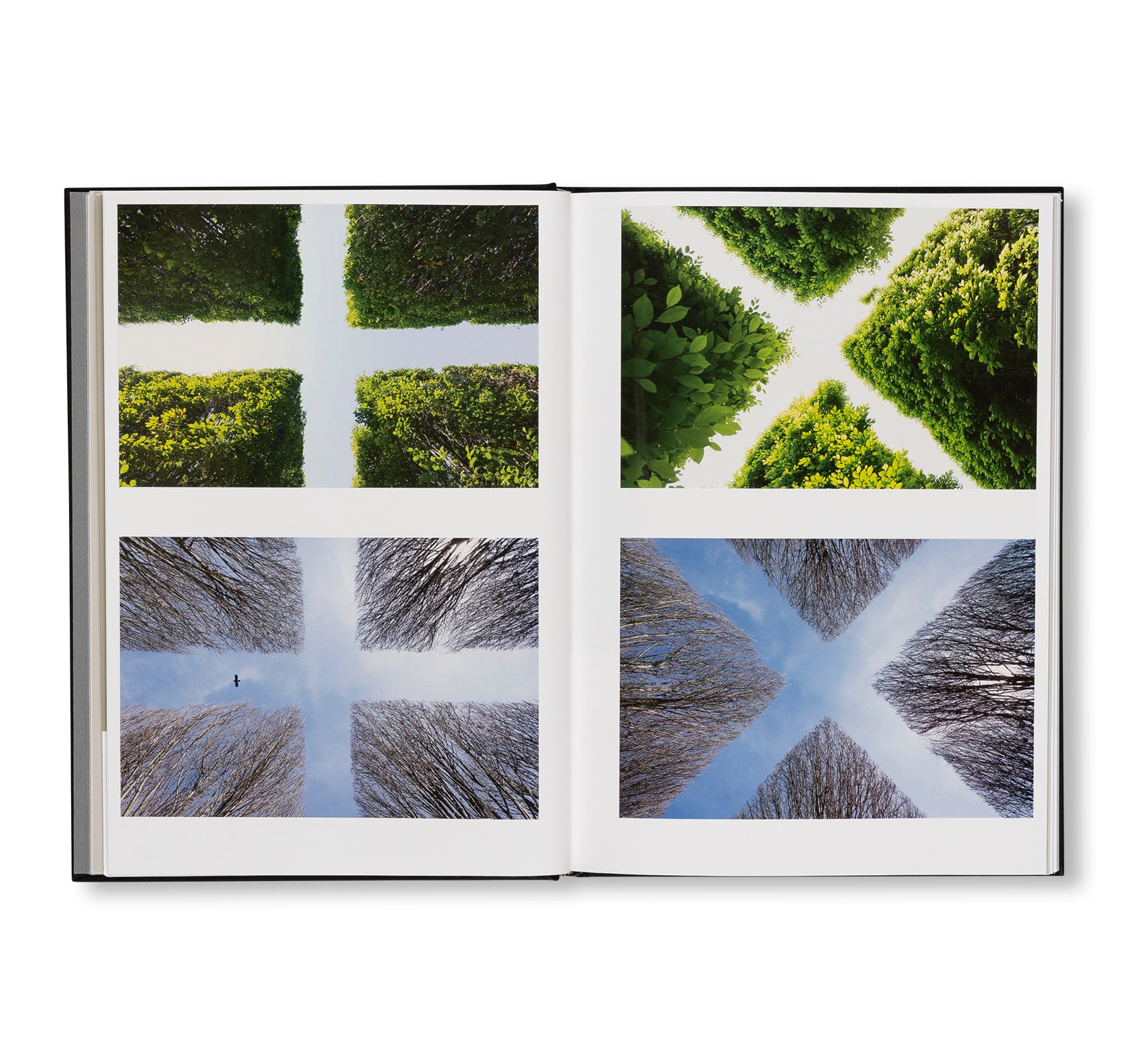 PROJECTS & EXHIBITIONS 2015–2016 by Robert Irwin