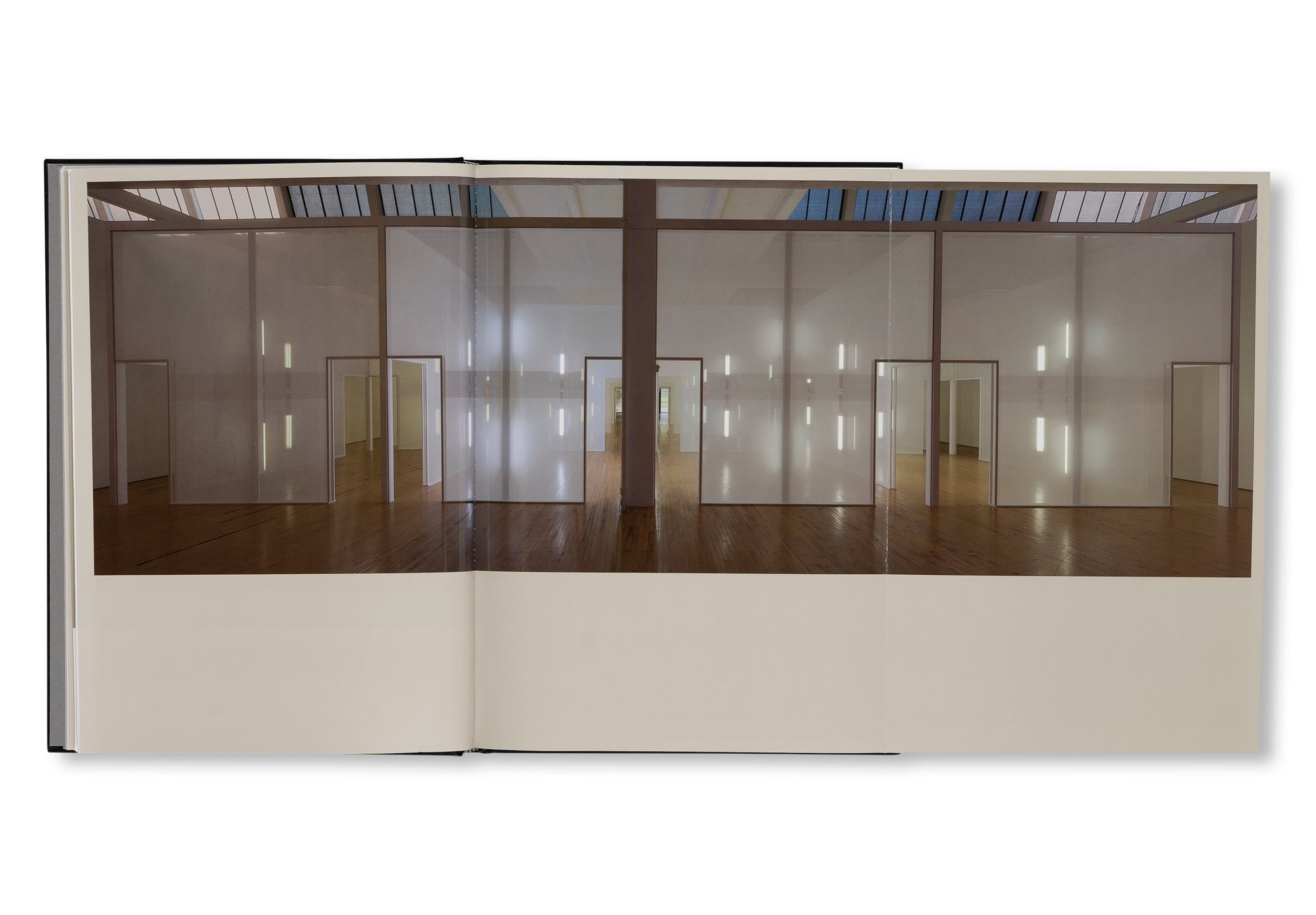 PROJECTS & EXHIBITIONS 2015–2016 by Robert Irwin