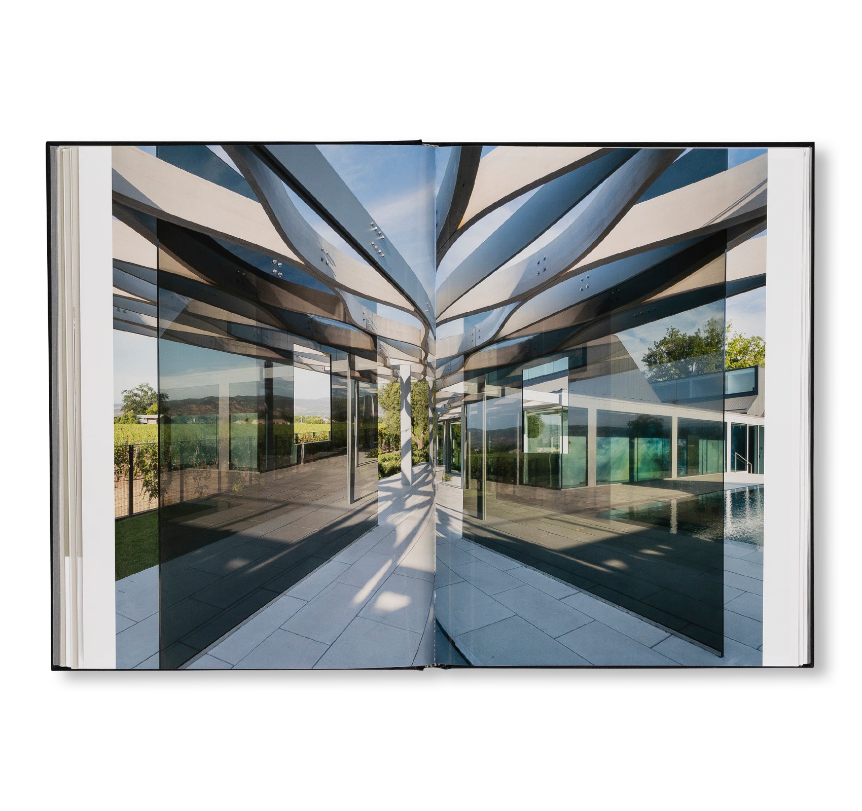 PROJECTS & EXHIBITIONS 2015–2016 by Robert Irwin
