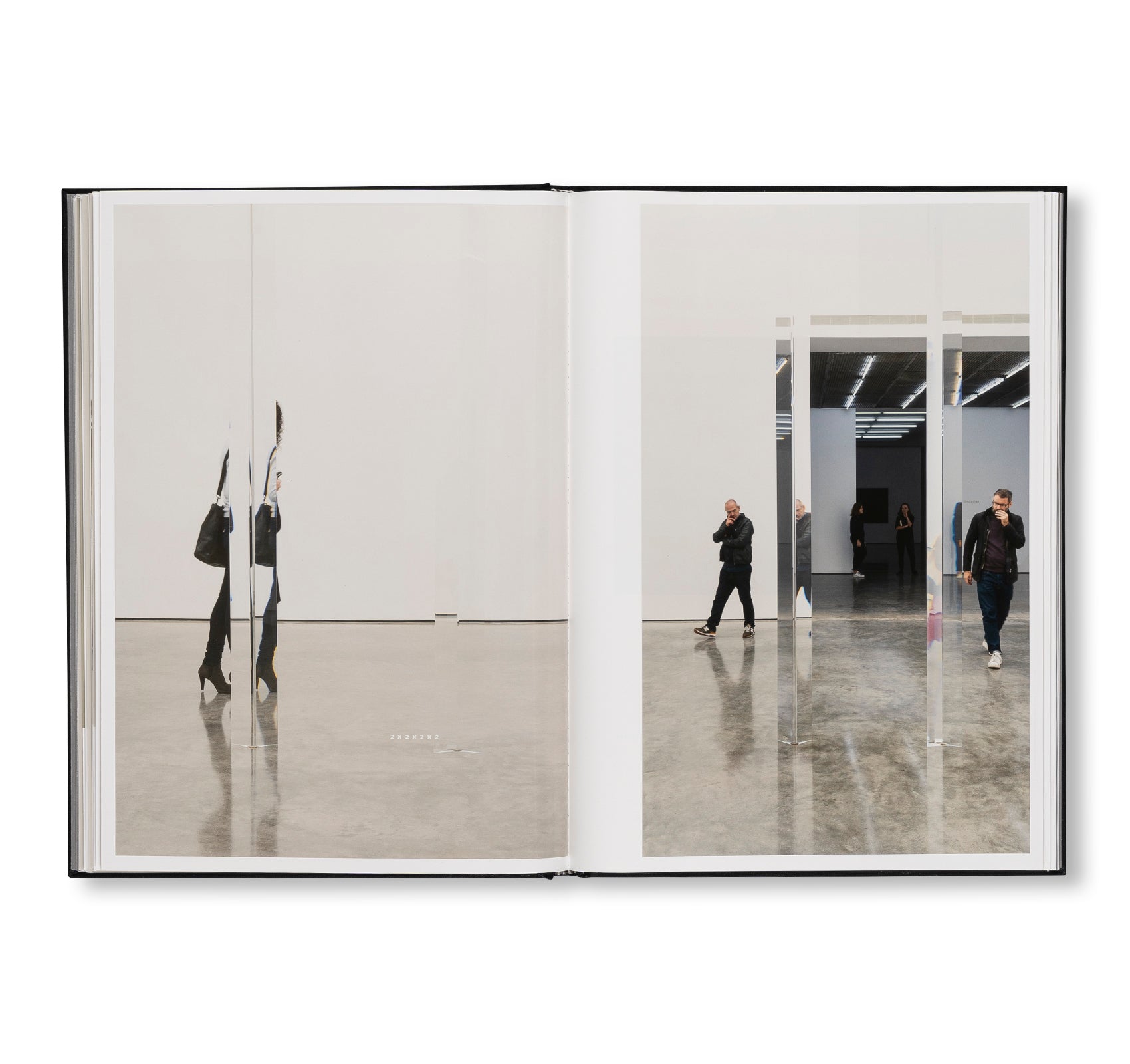 PROJECTS & EXHIBITIONS 2015–2016 by Robert Irwin