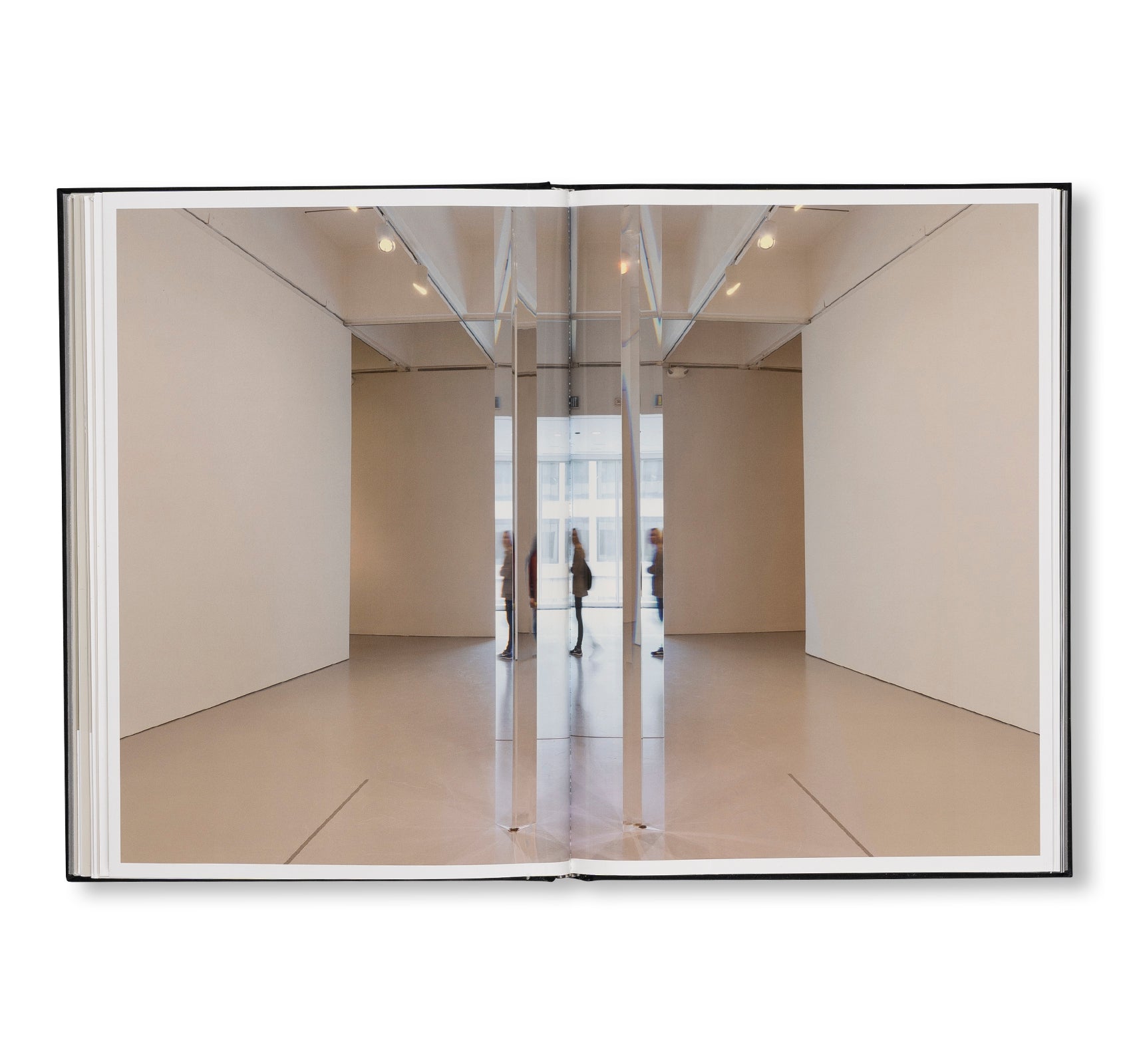 PROJECTS & EXHIBITIONS 2015–2016 by Robert Irwin
