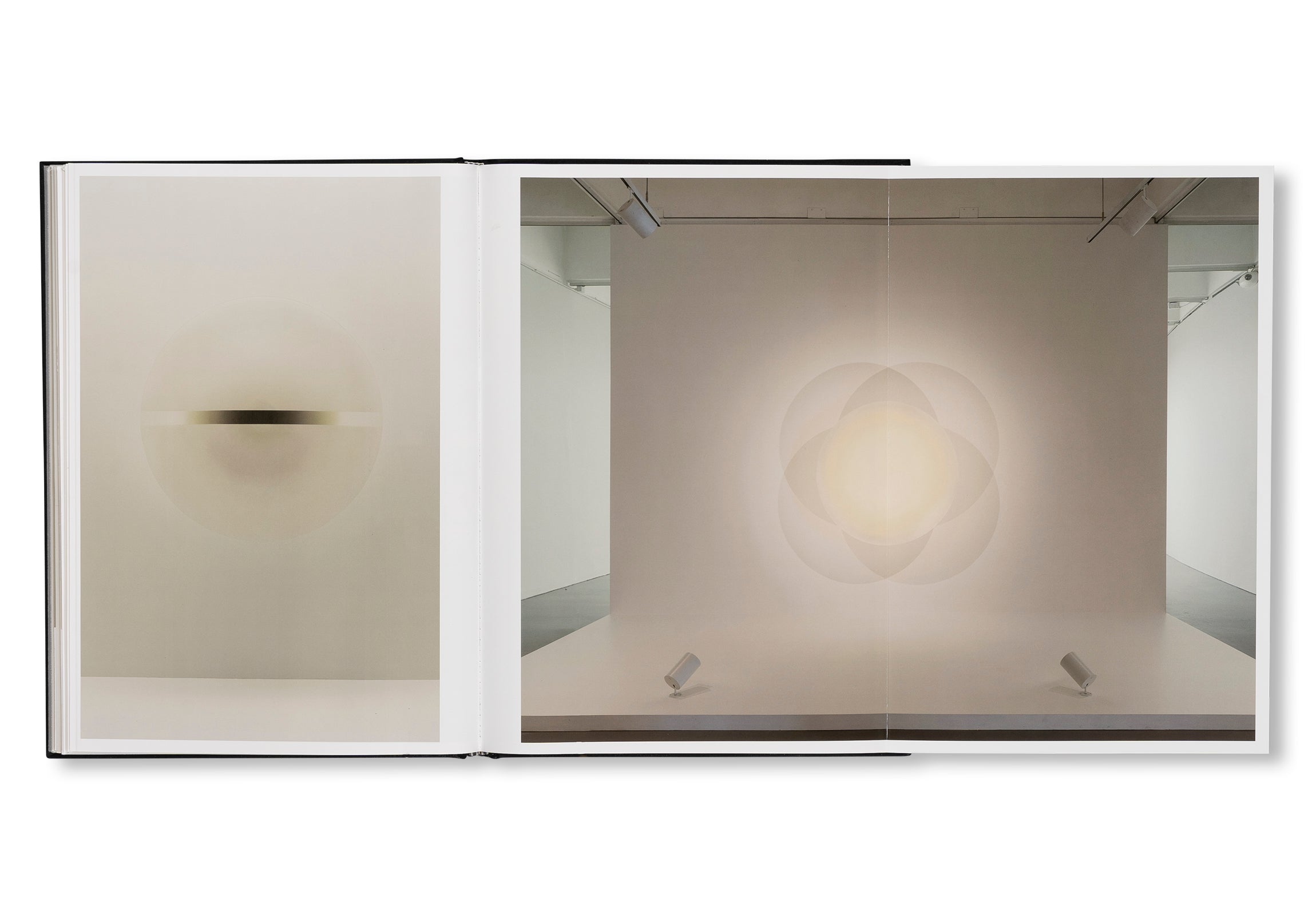 PROJECTS & EXHIBITIONS 2015–2016 by Robert Irwin