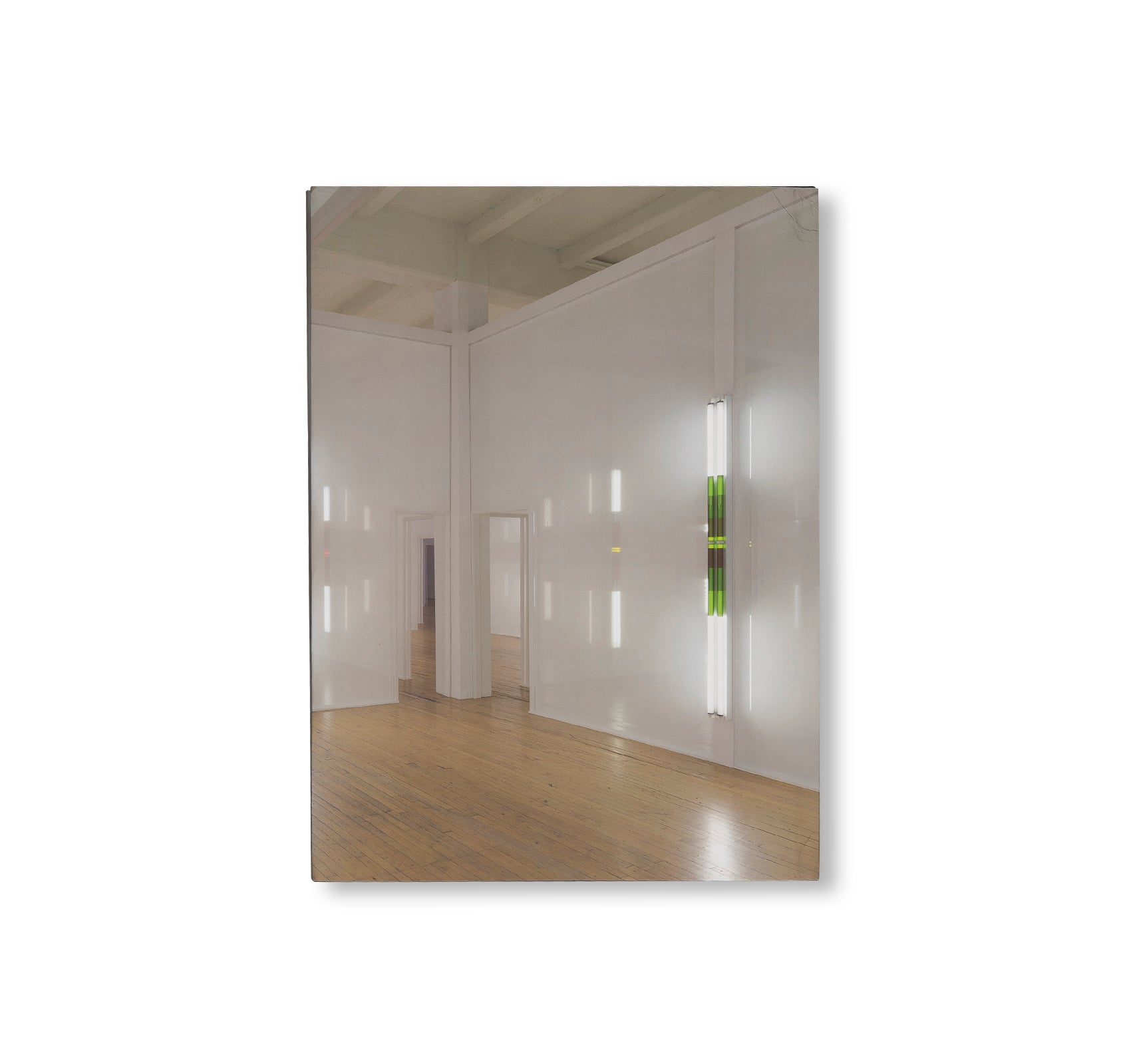 PROJECTS & EXHIBITIONS 2015–2016 by Robert Irwin
