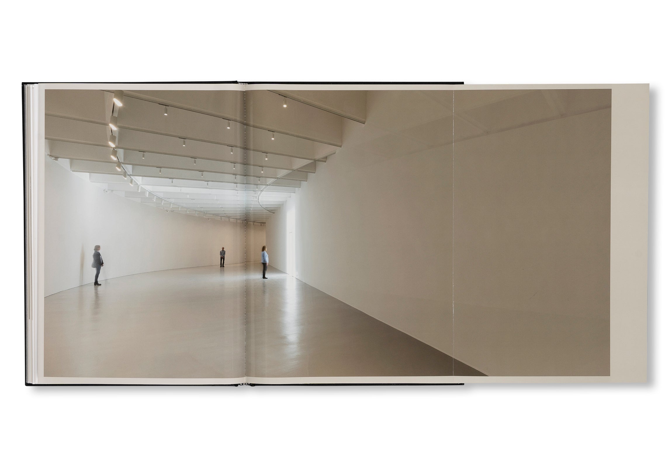 PROJECTS & EXHIBITIONS 2015–2016 by Robert Irwin