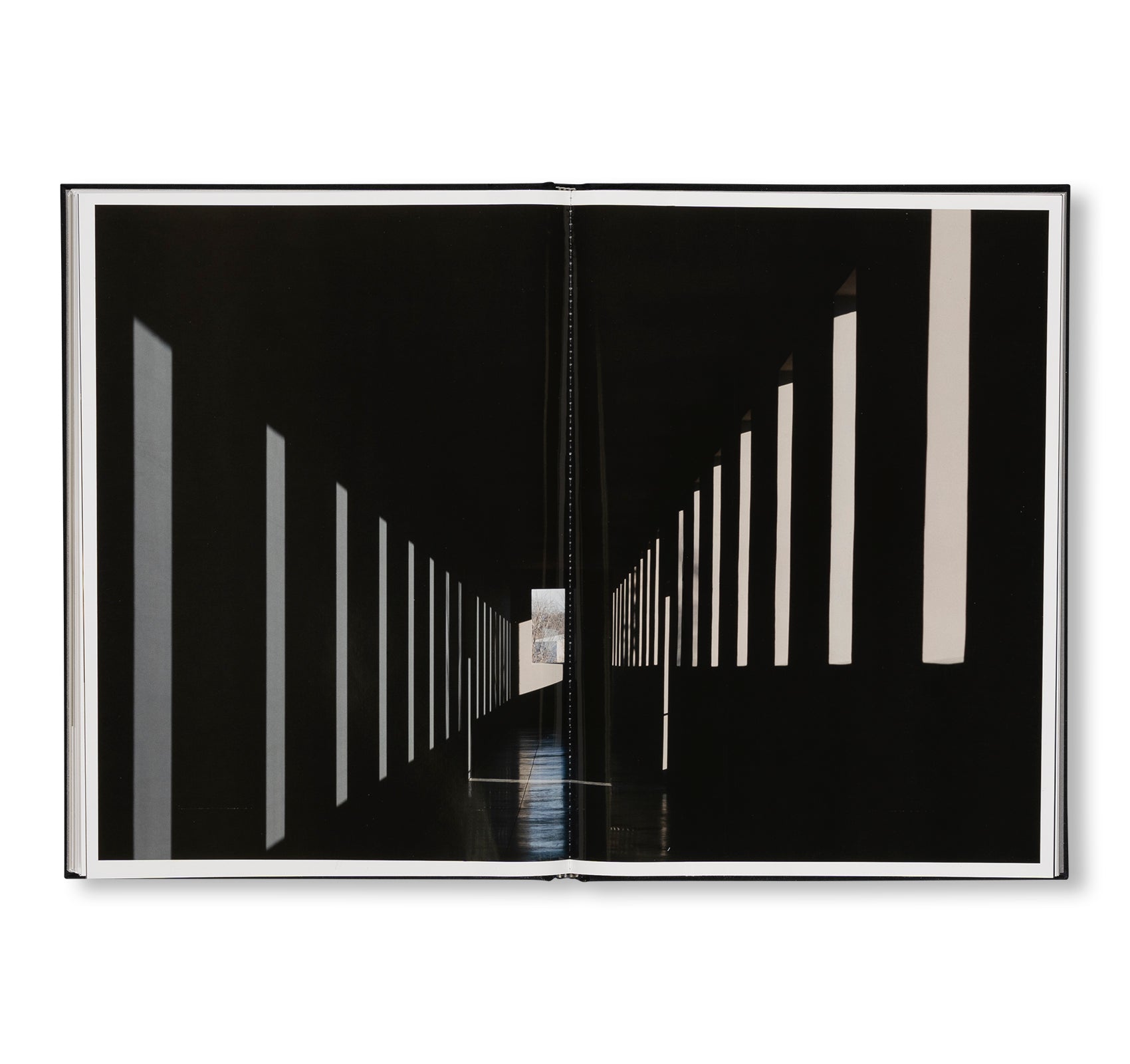 PROJECTS & EXHIBITIONS 2015–2016 by Robert Irwin