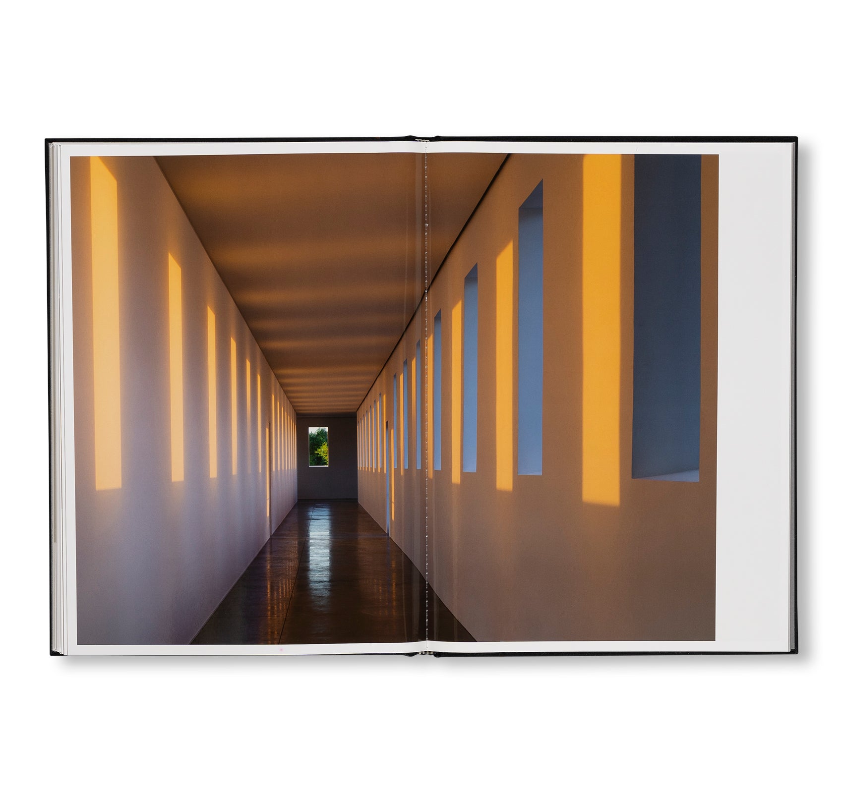 PROJECTS & EXHIBITIONS 2015–2016 by Robert Irwin