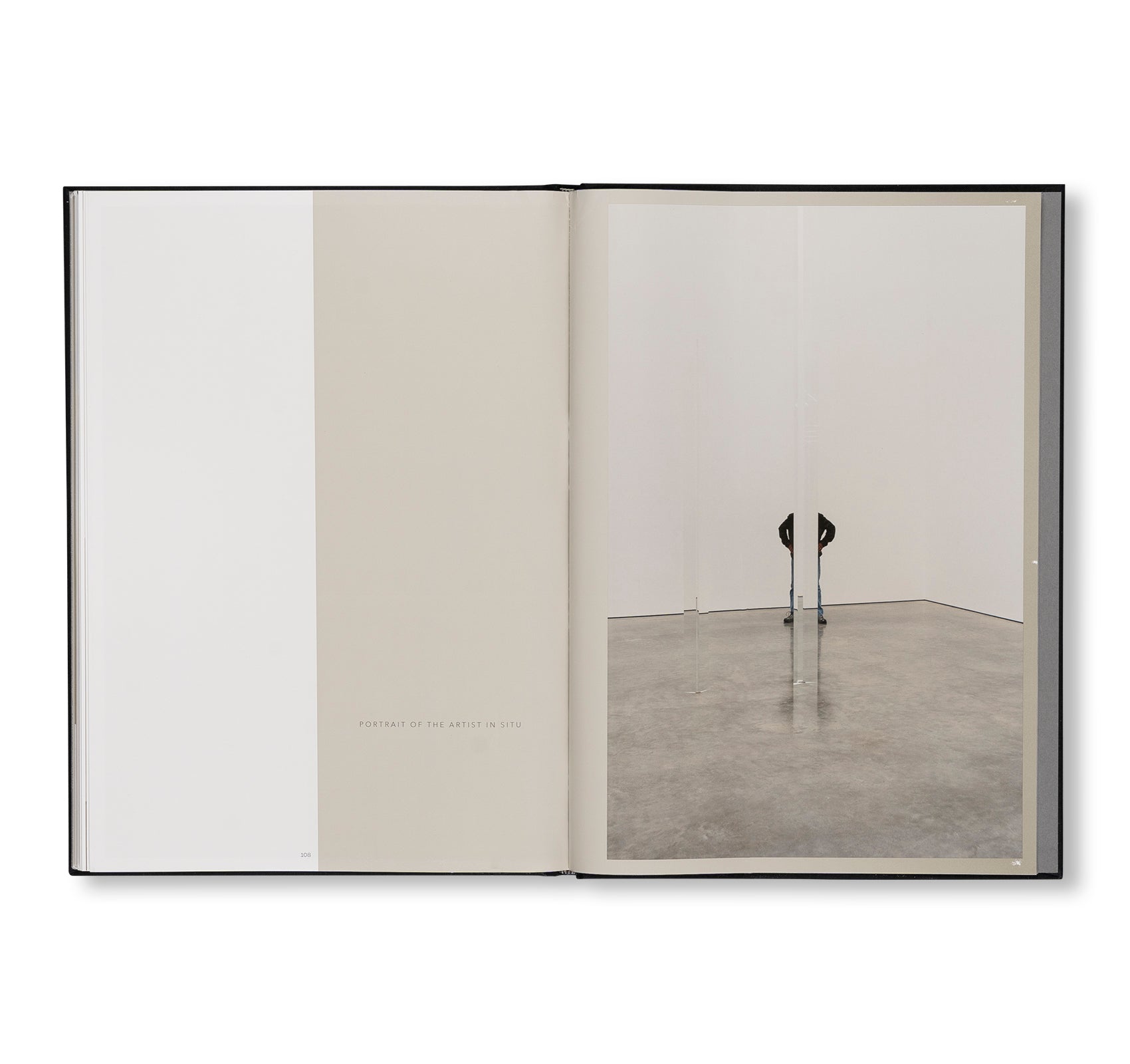 PROJECTS & EXHIBITIONS 2015–2016 by Robert Irwin