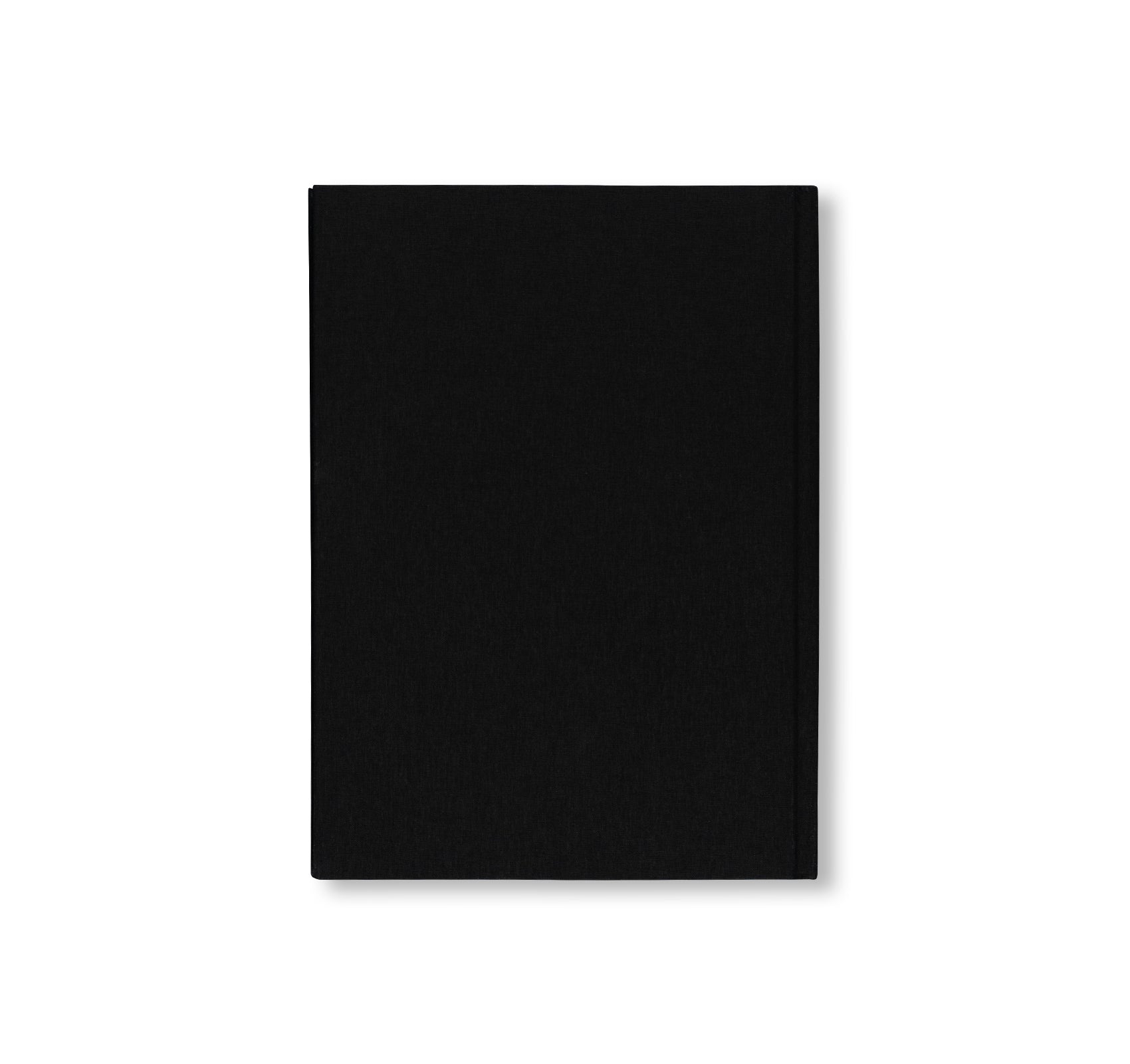 PROJECTS & EXHIBITIONS 2015–2016 by Robert Irwin
