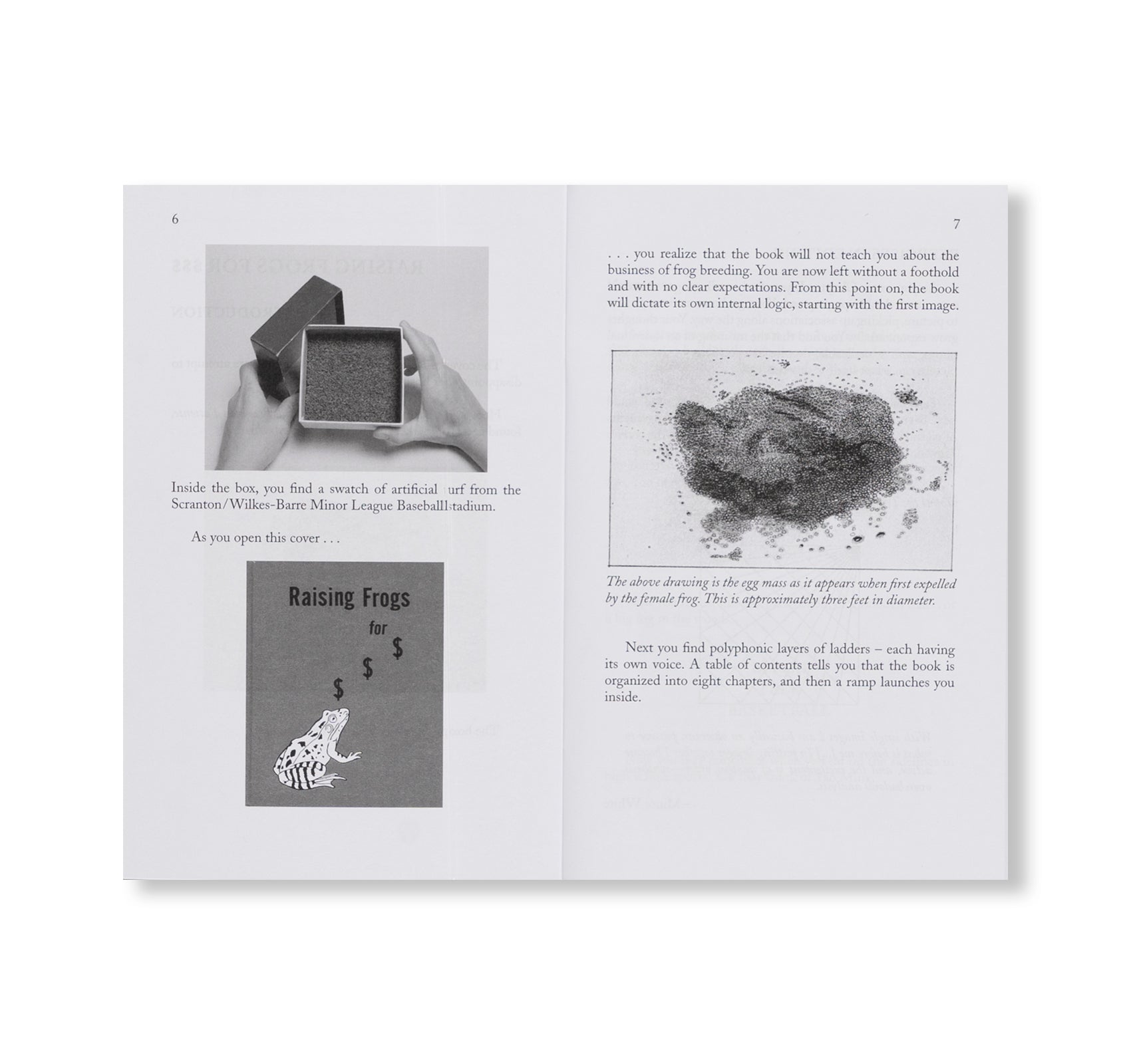 NOTES ON FULFORD’S RAISING FROGS FOR $ $ $ by Jason Fulford