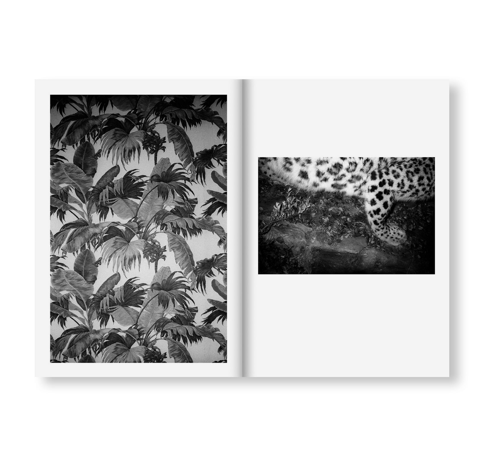 BAYOU by Albert Grøndahl