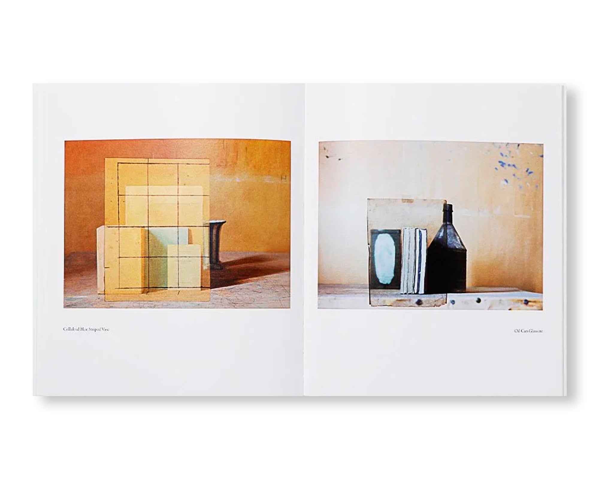 MORANDI’S BOOKS by Mary Ellen Bartley