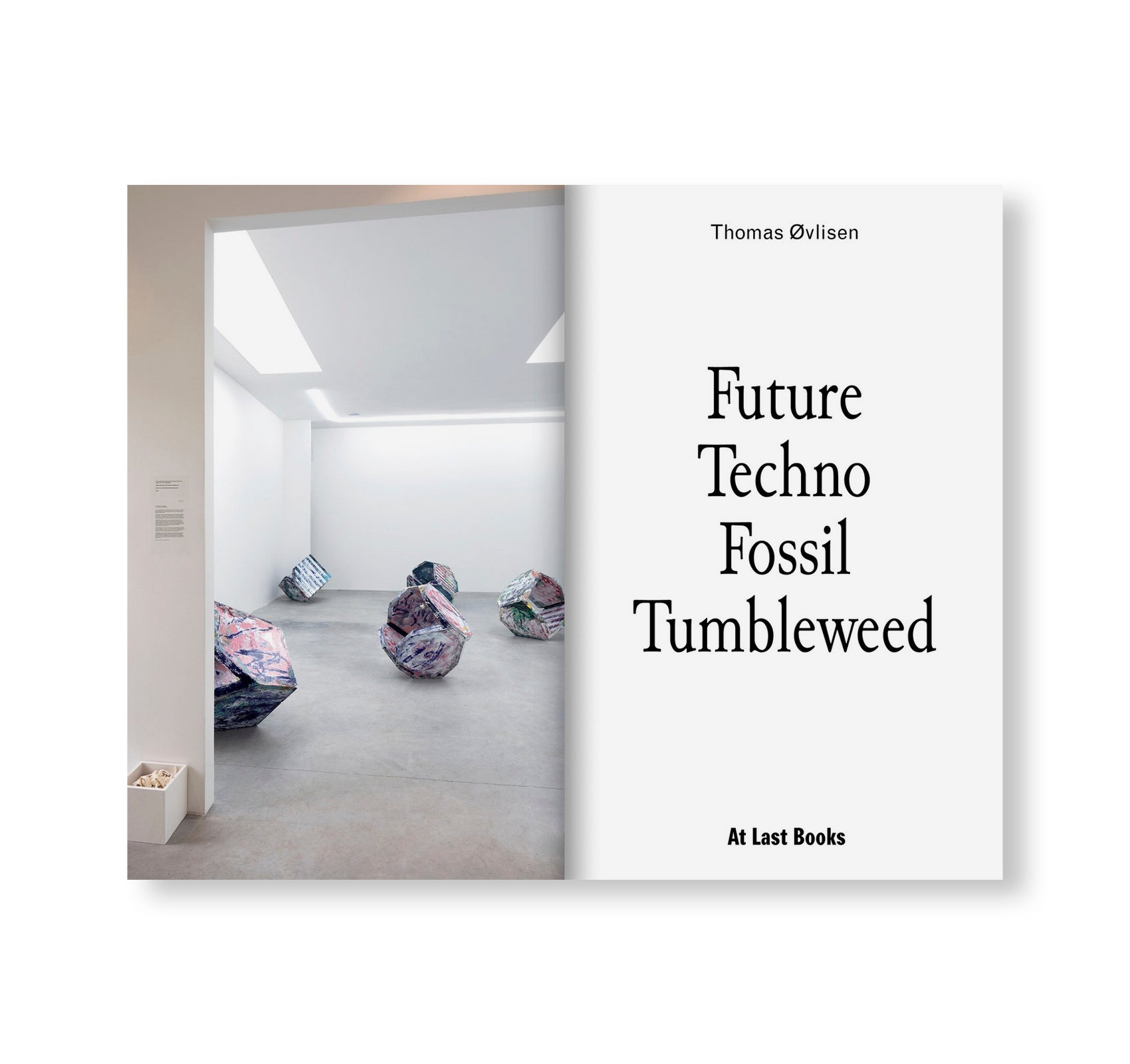 FUTURE TECHNO FOSSIL TUMBLEWEED by Thomas Øvlisen