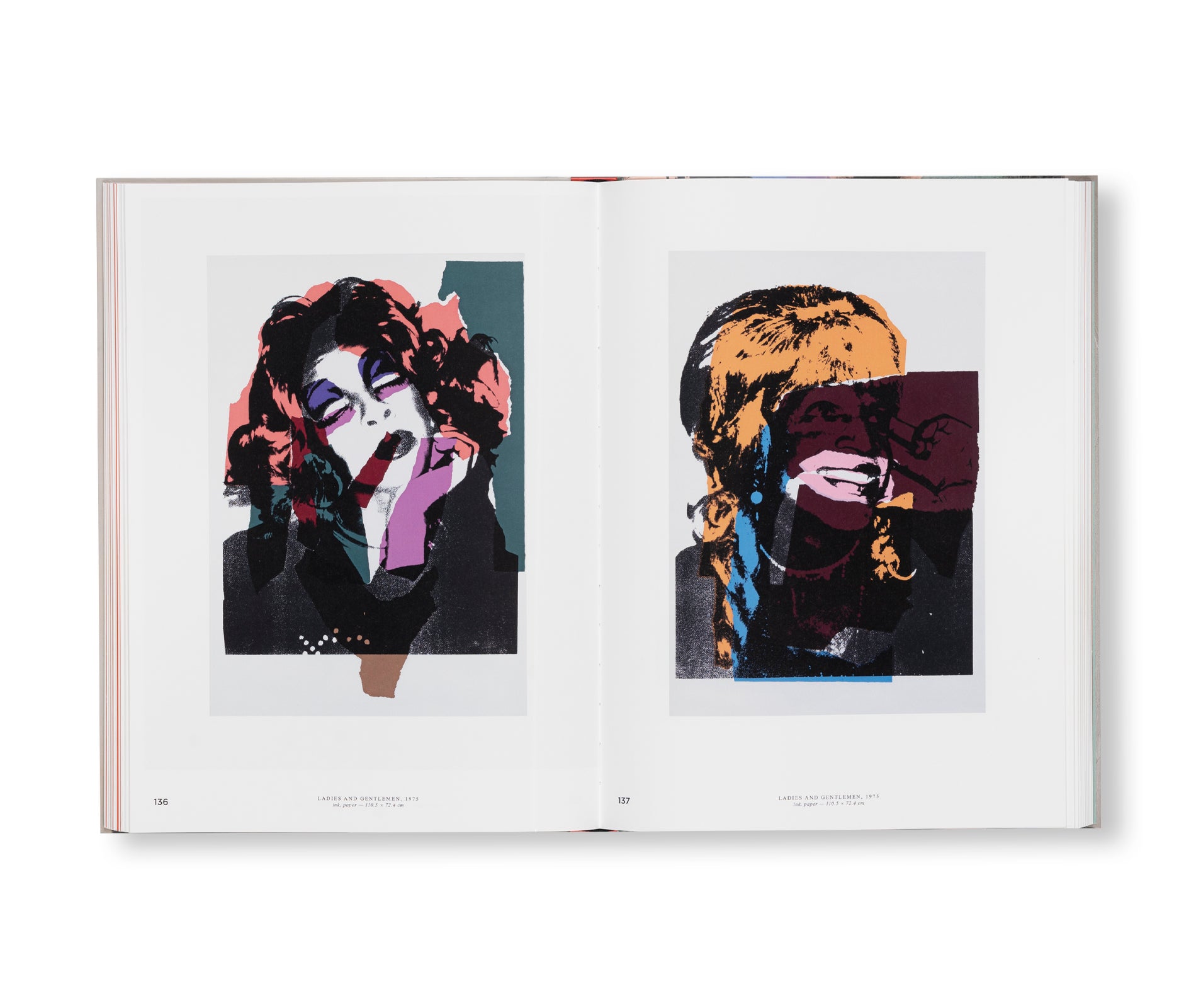 ANDY WARHOL - VELVET RAGE AND BEAUTY by Andy Warhol