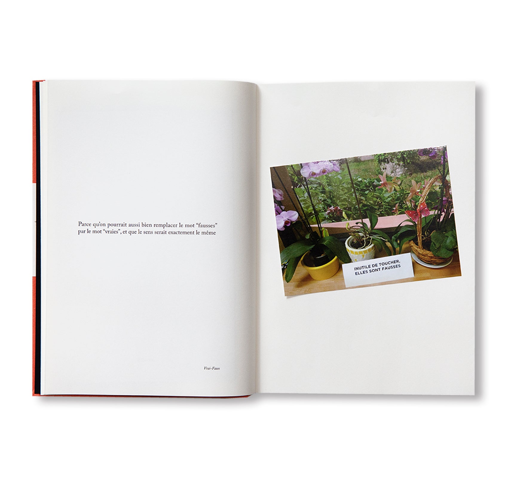 BECAUSE by Sophie Calle [ENGLISH / REVISED / EXPANDED EDITION]