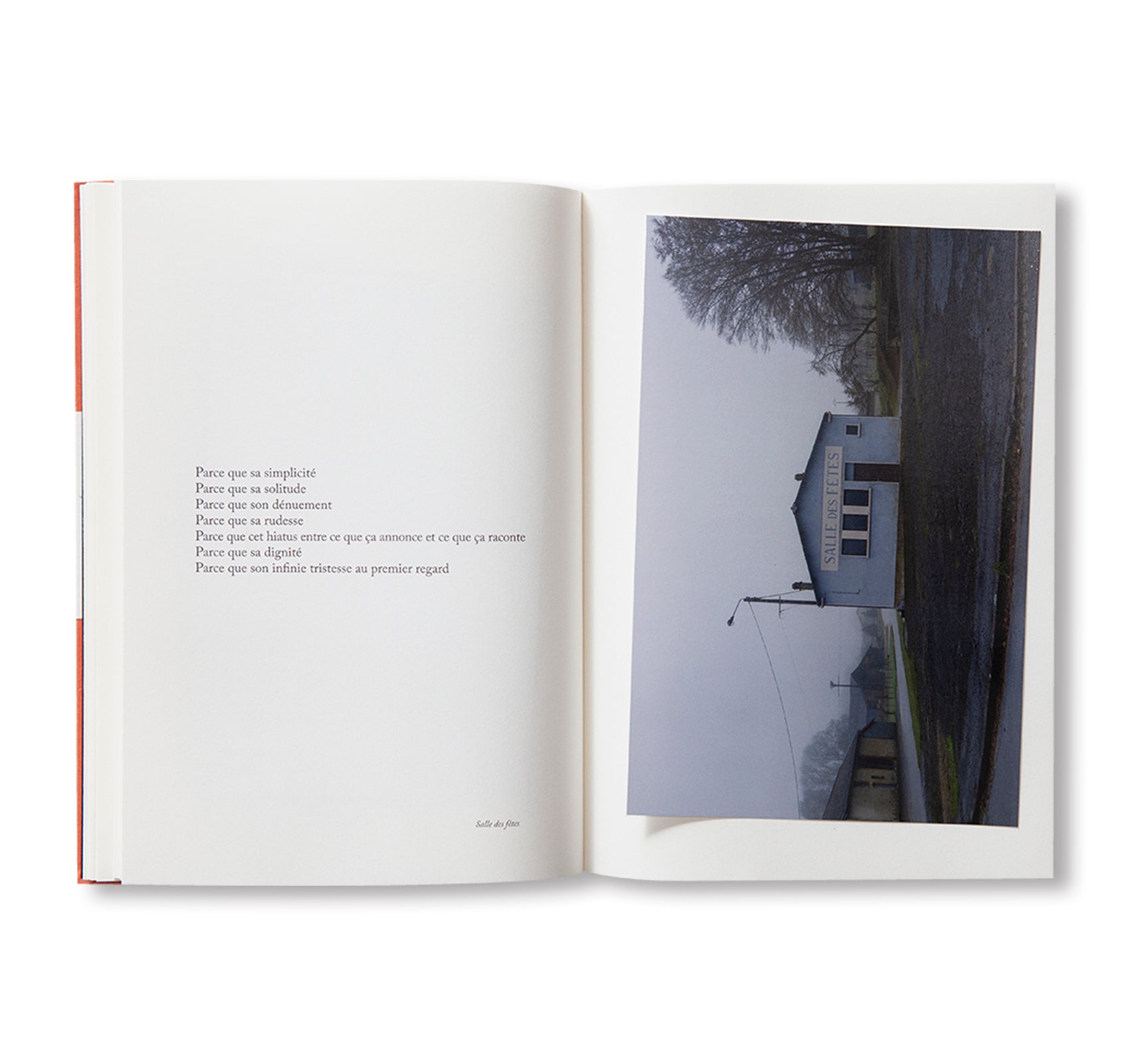 BECAUSE by Sophie Calle [ENGLISH / REVISED / EXPANDED EDITION]