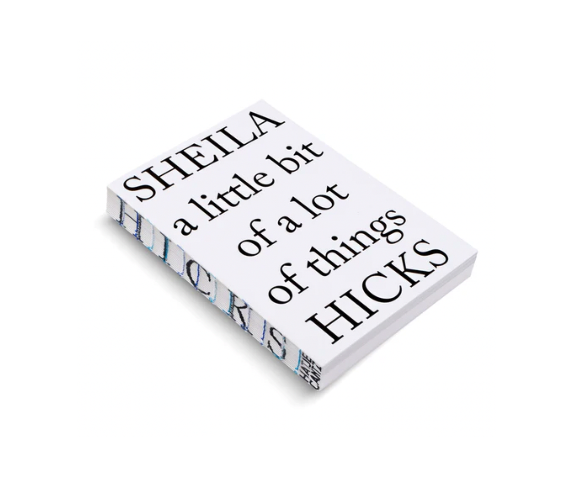 A LITTLE BIT OF A LOT OF THINGS by Sheila Hicks