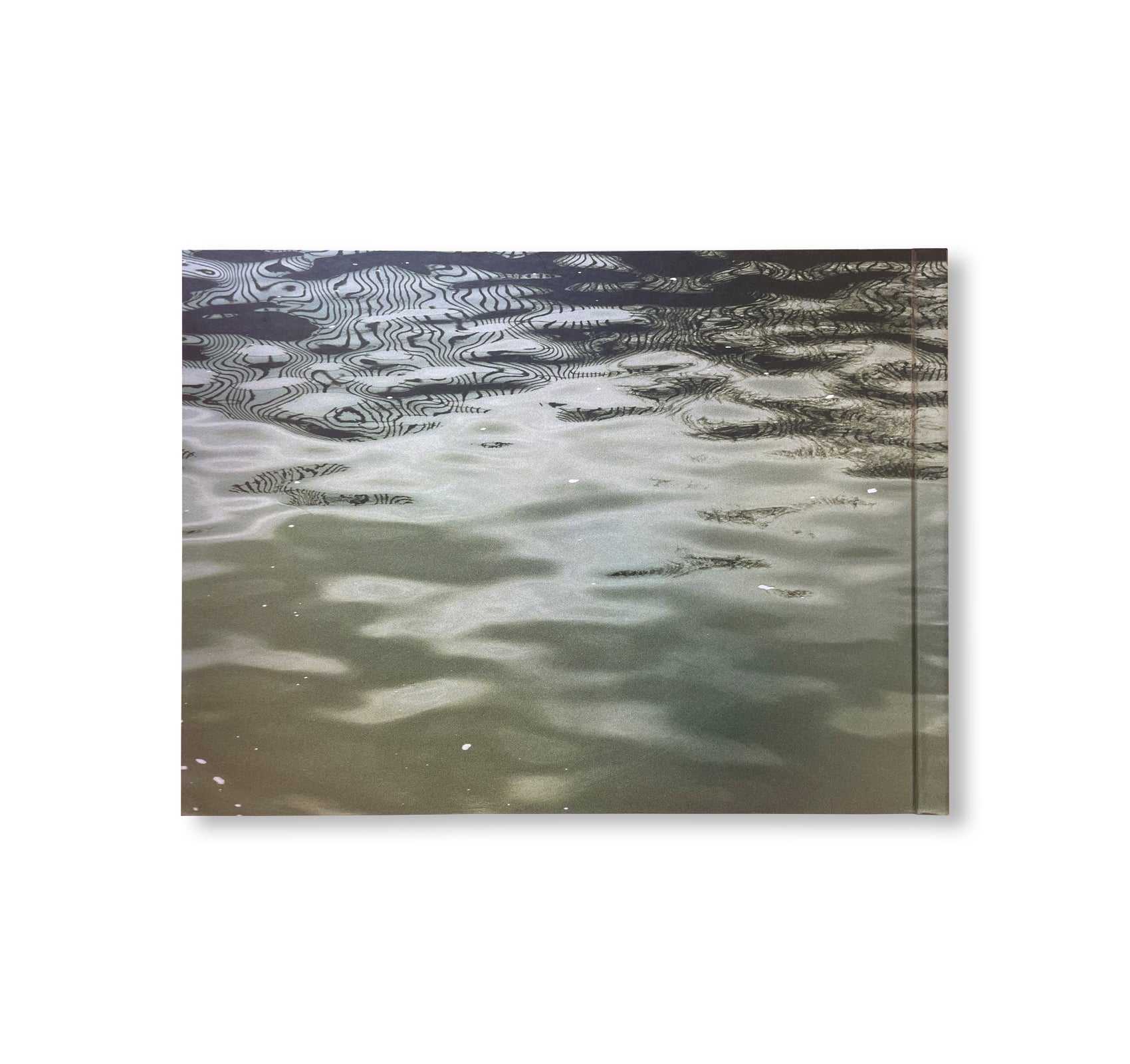 STILL WATER by Roni Horn