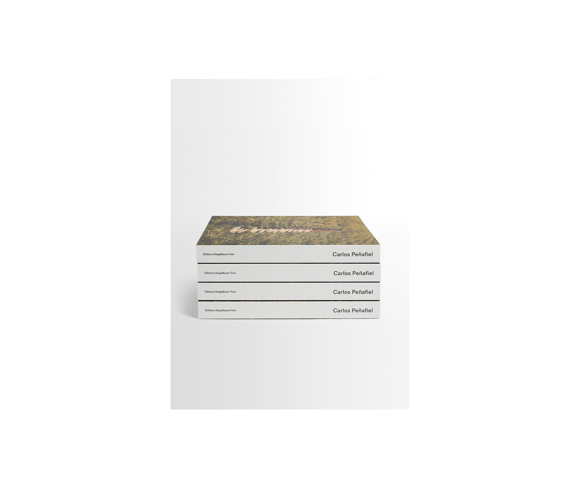 CARLOS PEÑAFIEL by Carlos Peñafiel