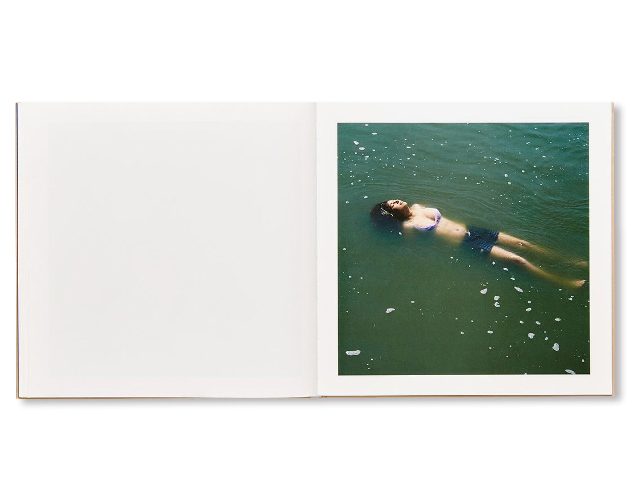 THE ADVENTURES OF GUILLE AND BELINDA AND THE ILLUSION OF AN EVERLASTING SUMMER by Alessandra Sanguinetti