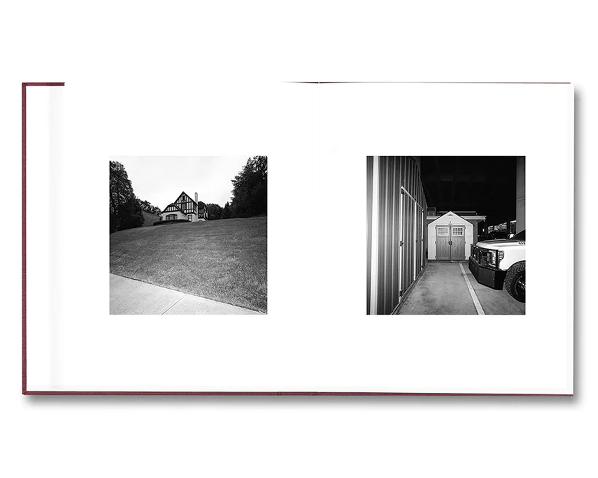 VISCIN by Yorgos Lanthimos