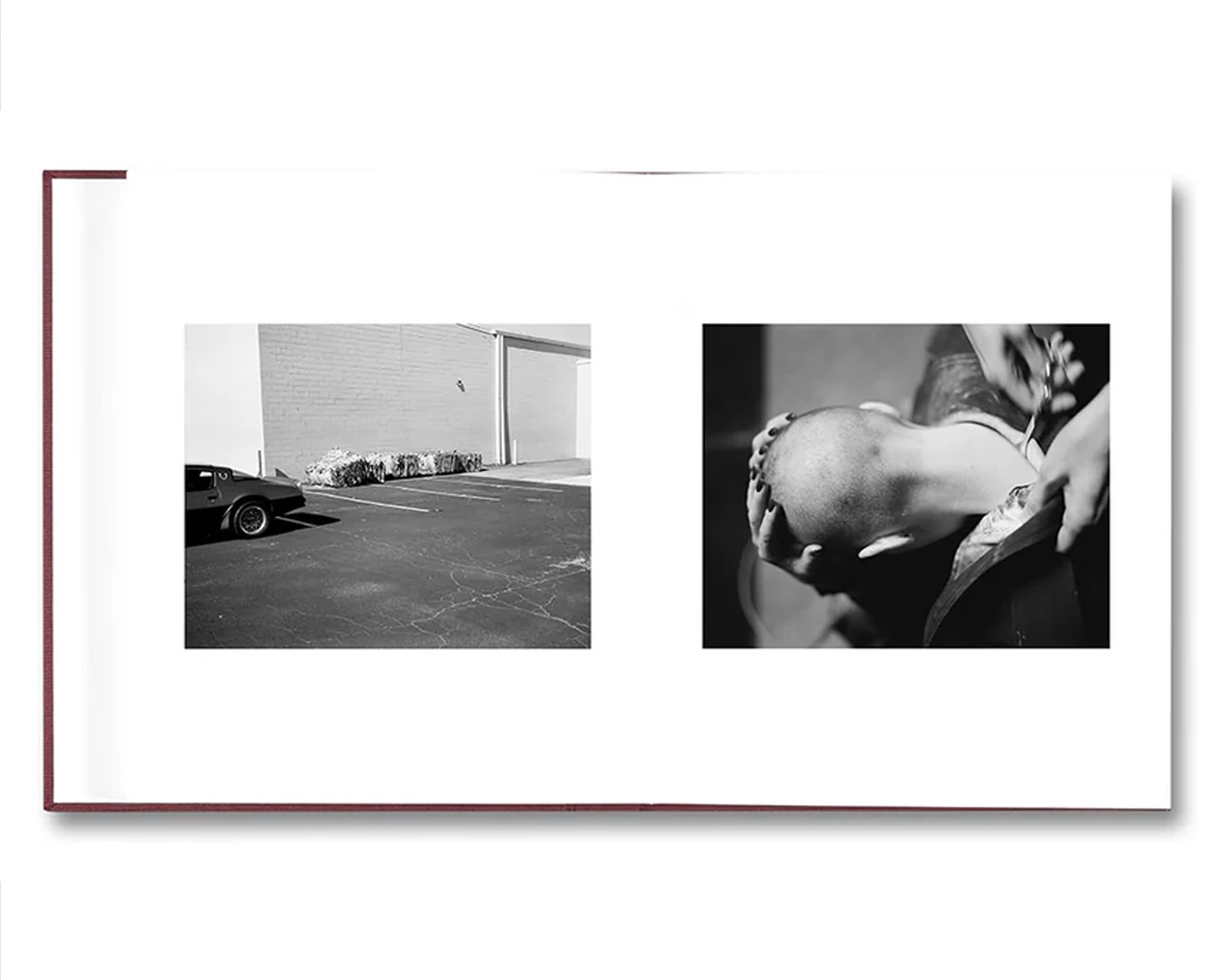 VISCIN by Yorgos Lanthimos