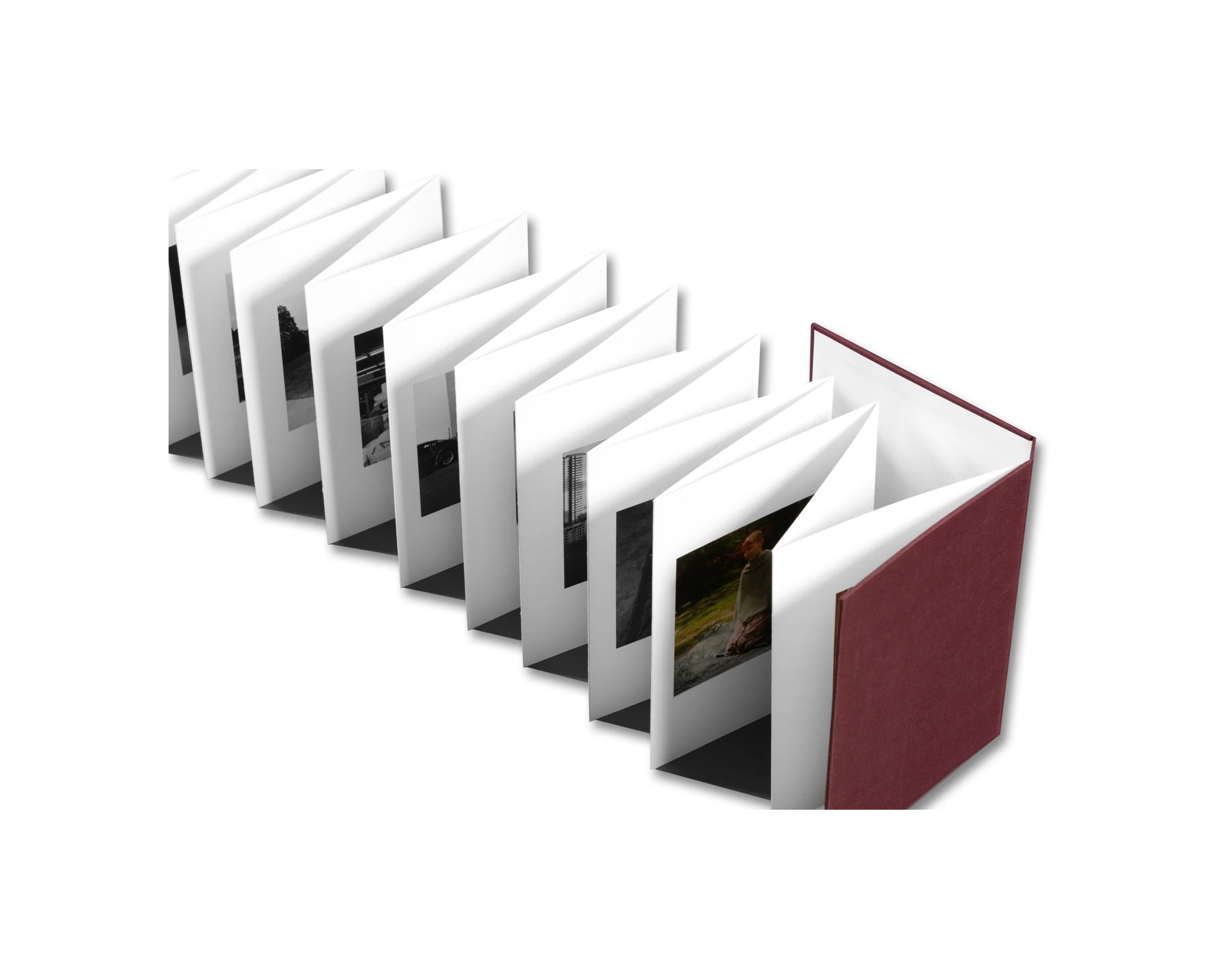 VISCIN by Yorgos Lanthimos