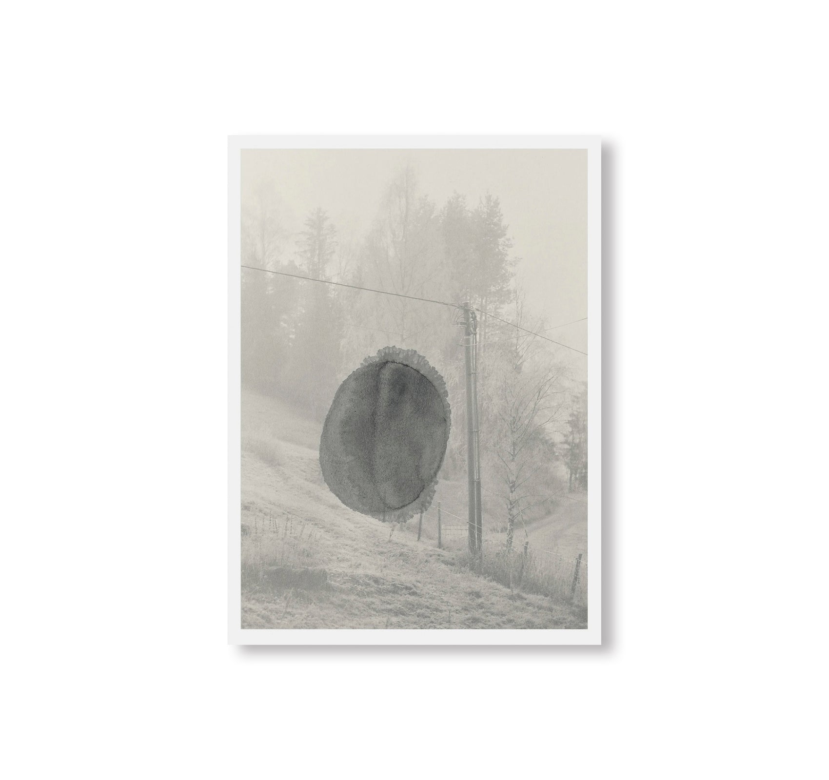STAINS & ASHES by Ola Rindal [SIGNED]