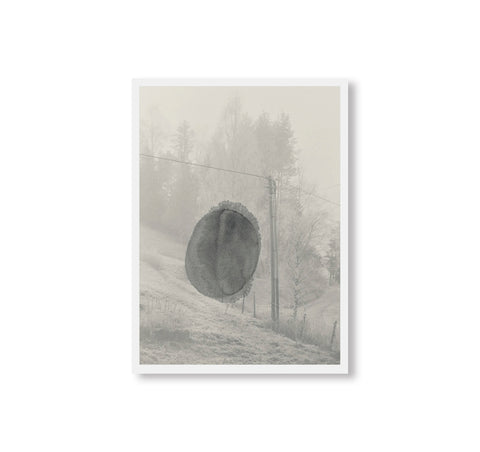 STAINS & ASHES by Ola Rindal [SIGNED]
