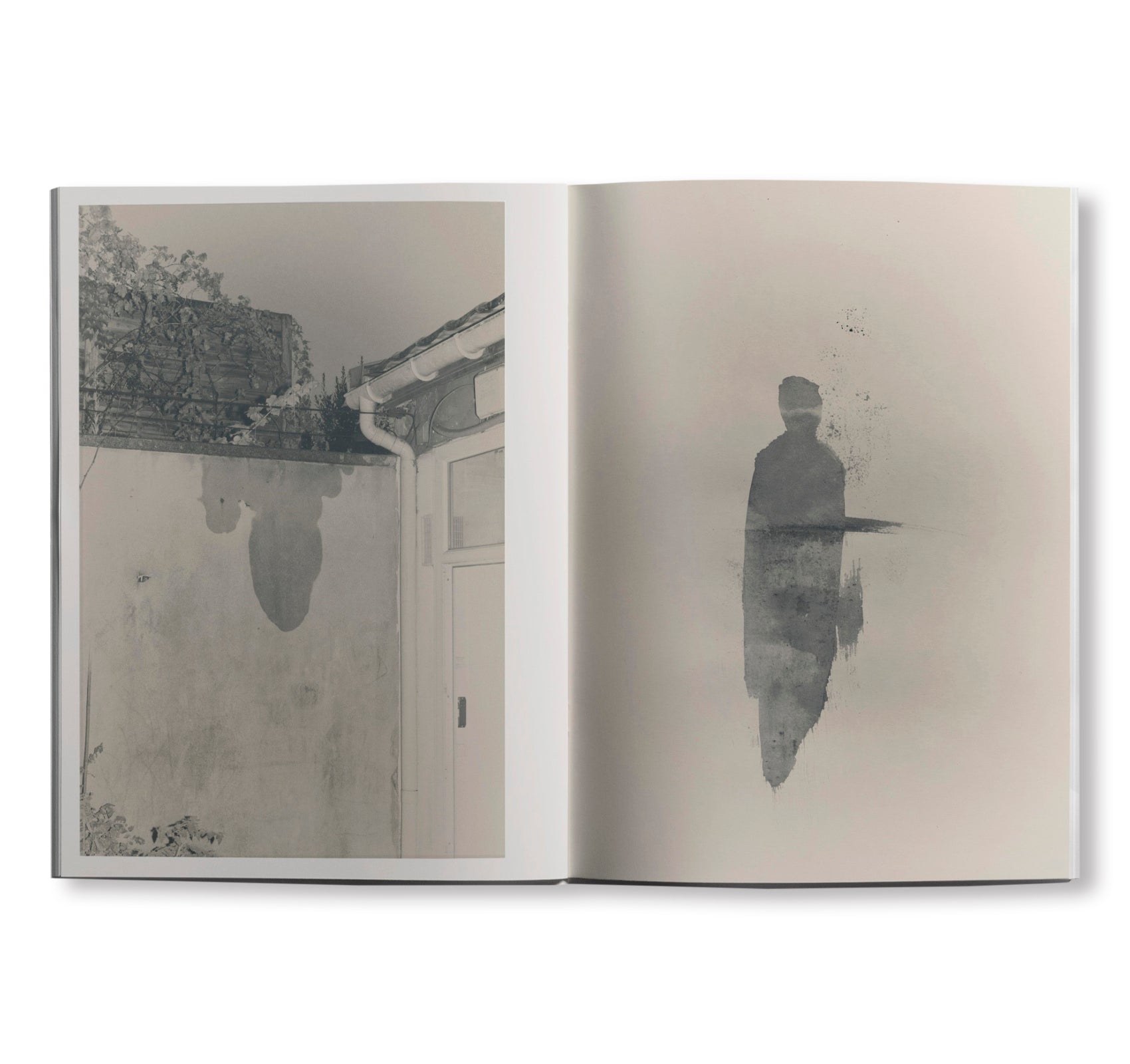 STAINS & ASHES by Ola Rindal [SIGNED]