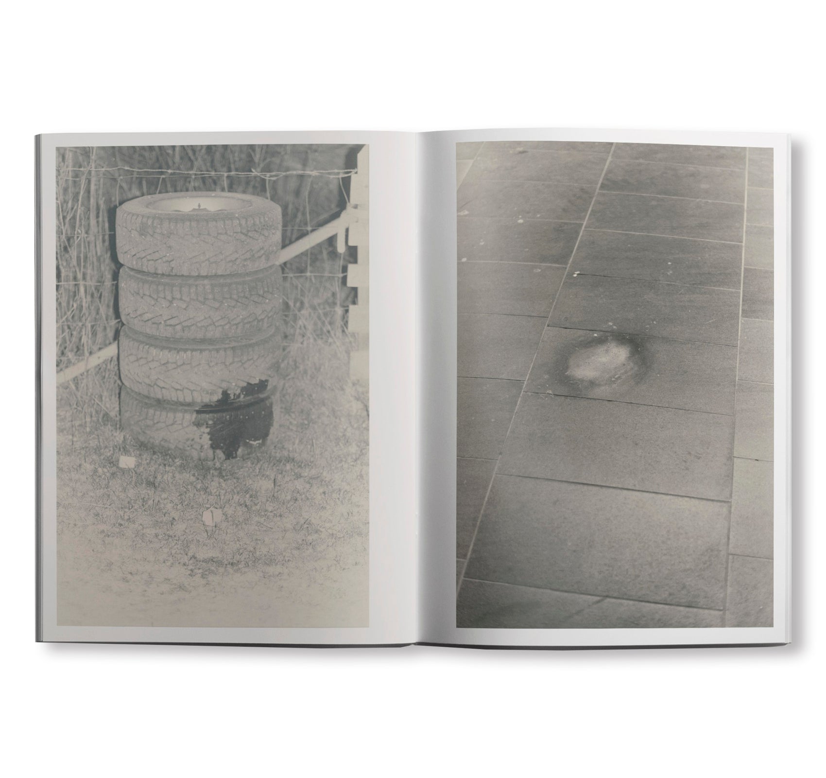 STAINS & ASHES by Ola Rindal [SIGNED]