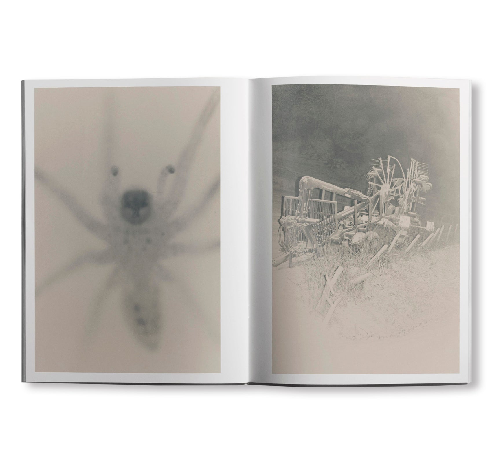 STAINS & ASHES by Ola Rindal [SIGNED]