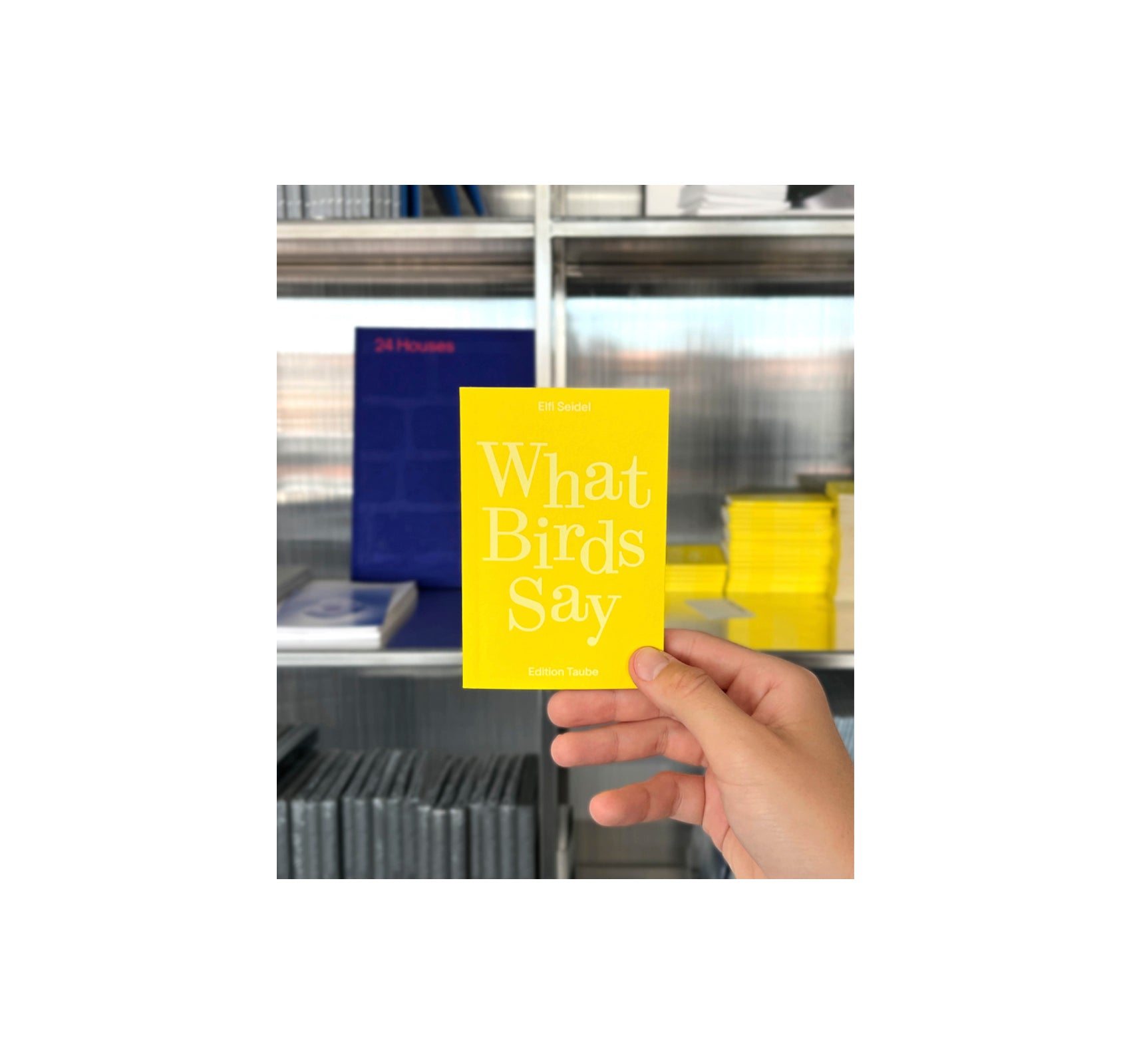 WHAT BIRDS SAY by Elfi Seidel