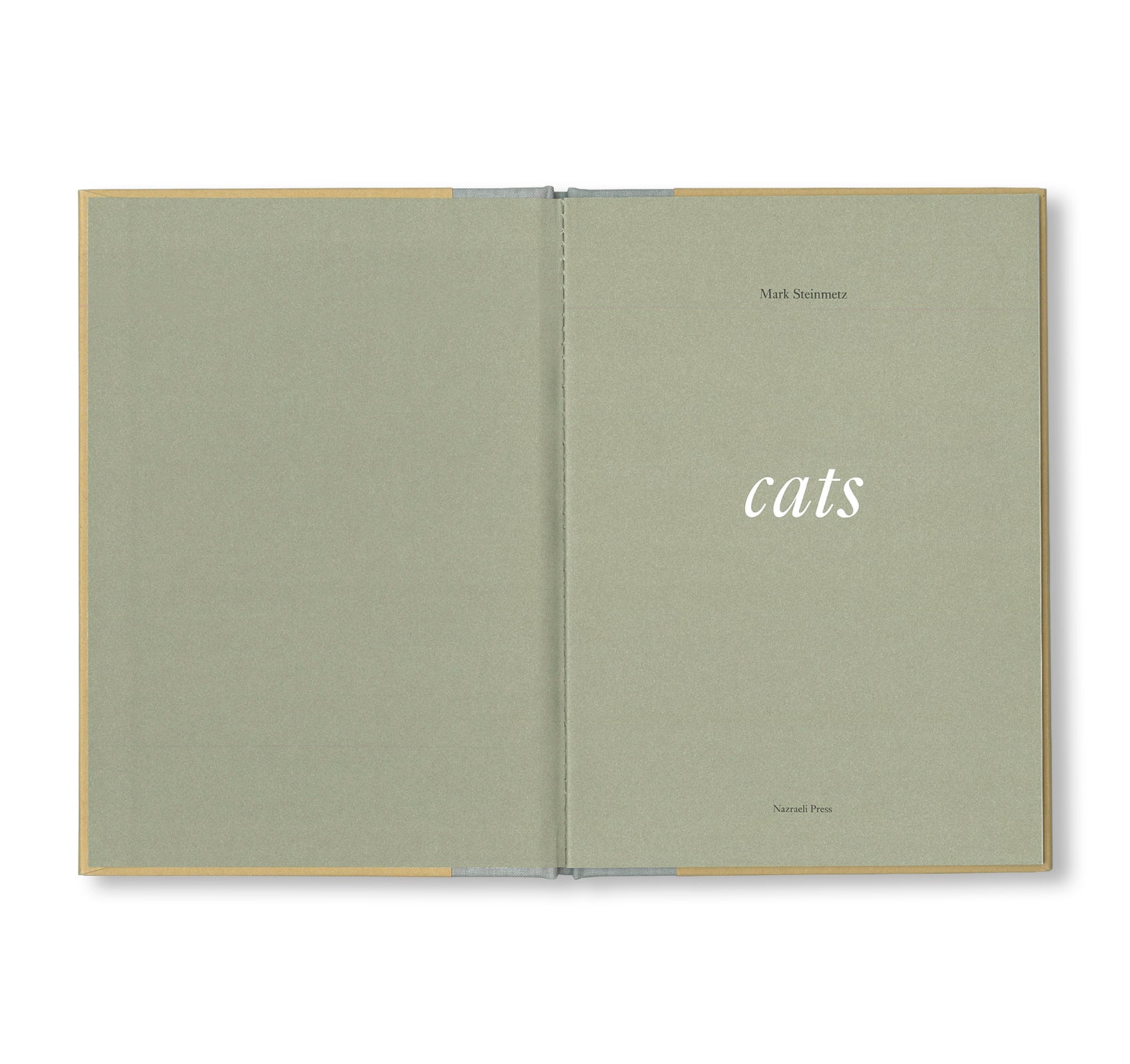 ONE PICTURE BOOK TWO #16: CATS by Mark Steinmetz