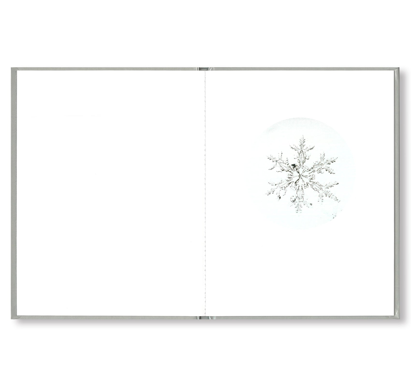 ONE PICTURE BOOK #80: SNOW LETTER by Risaku Suzuki – twelvebooks