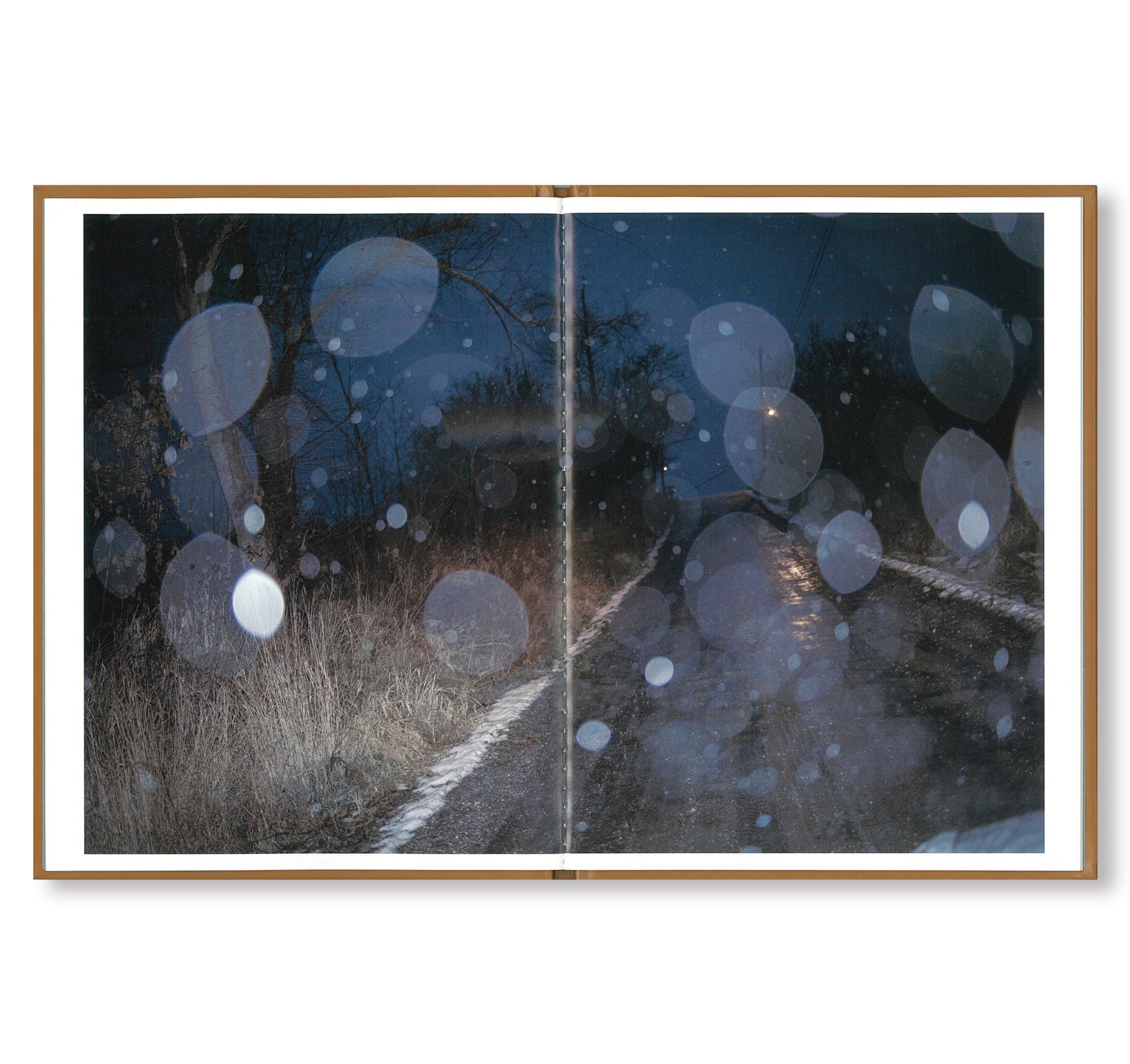 ONE PICTURE BOOK #93: SEASONS ROAD by Todd Hido